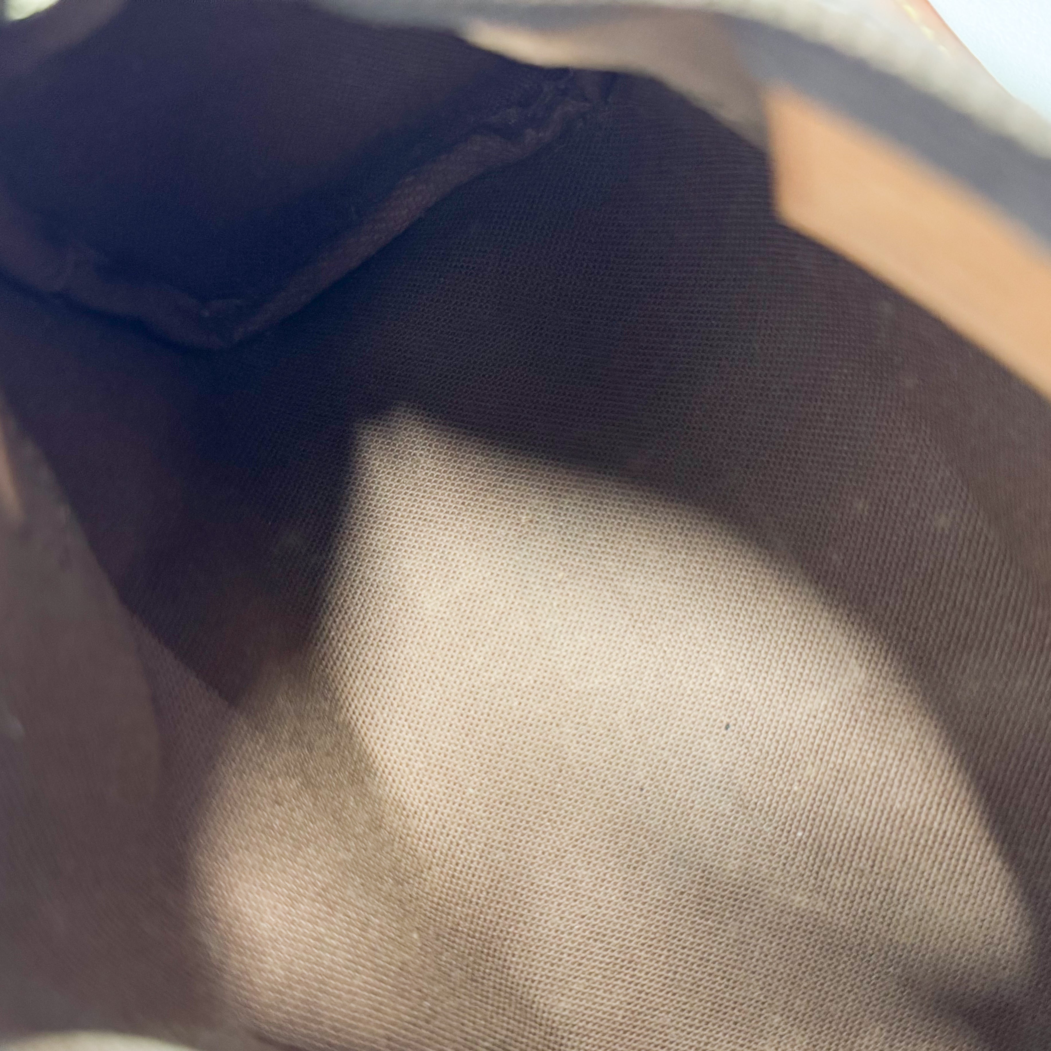 Mini Speedy Monogram Canvas Accessory Handbag