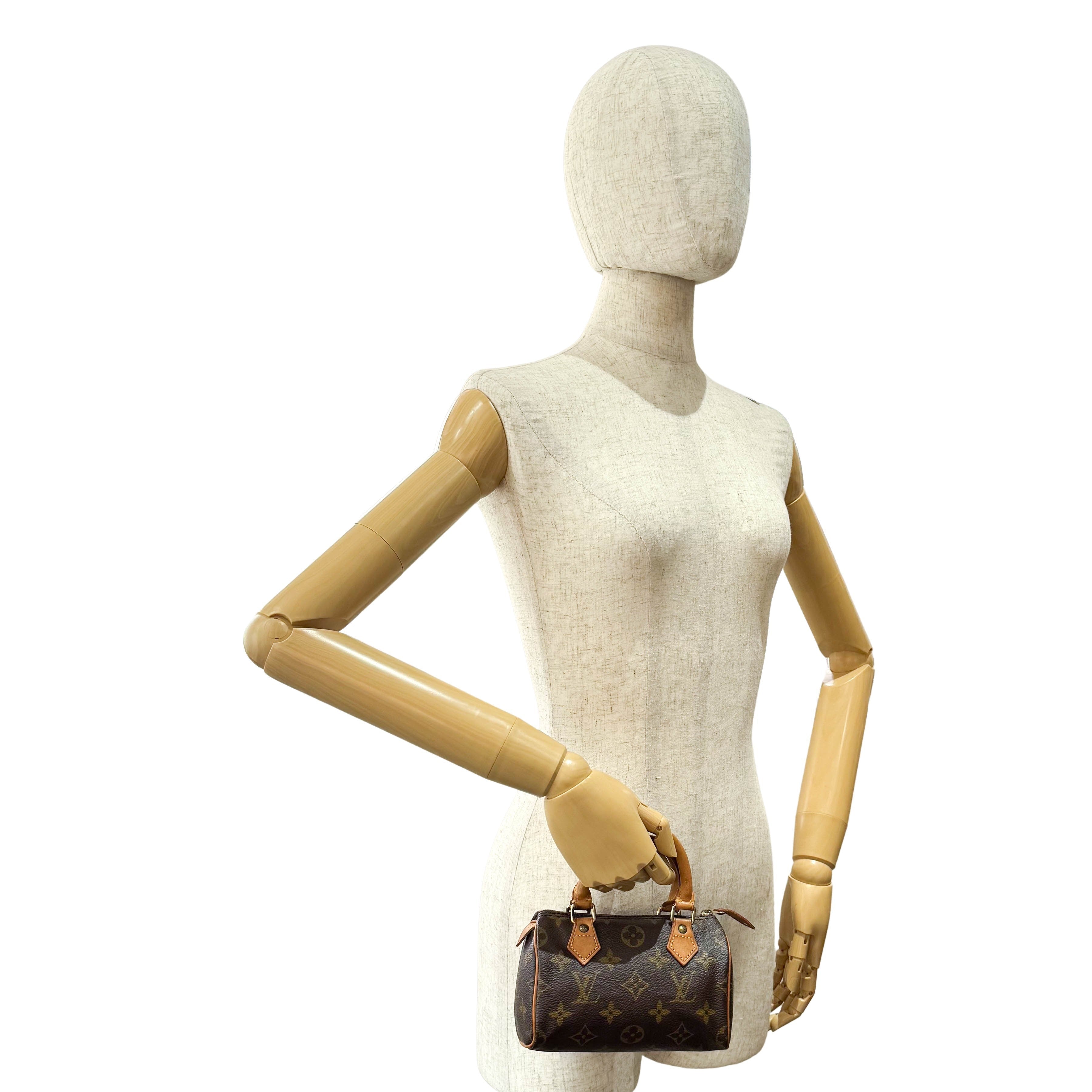 Monogram Mini Speedy Bag