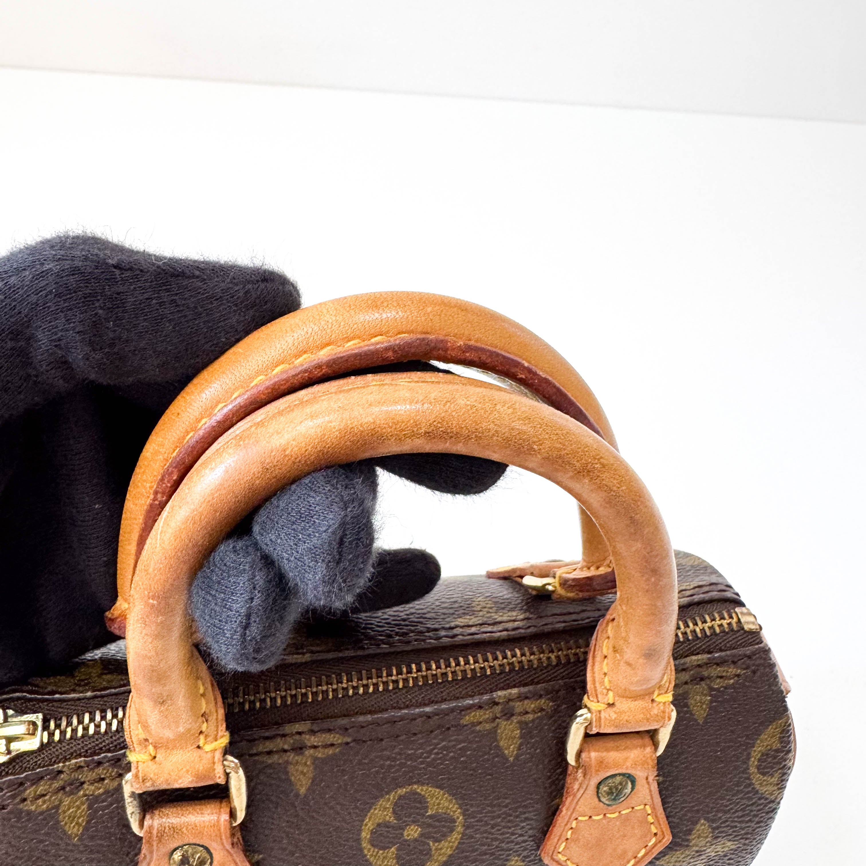 Monogram Mini Speedy Bag