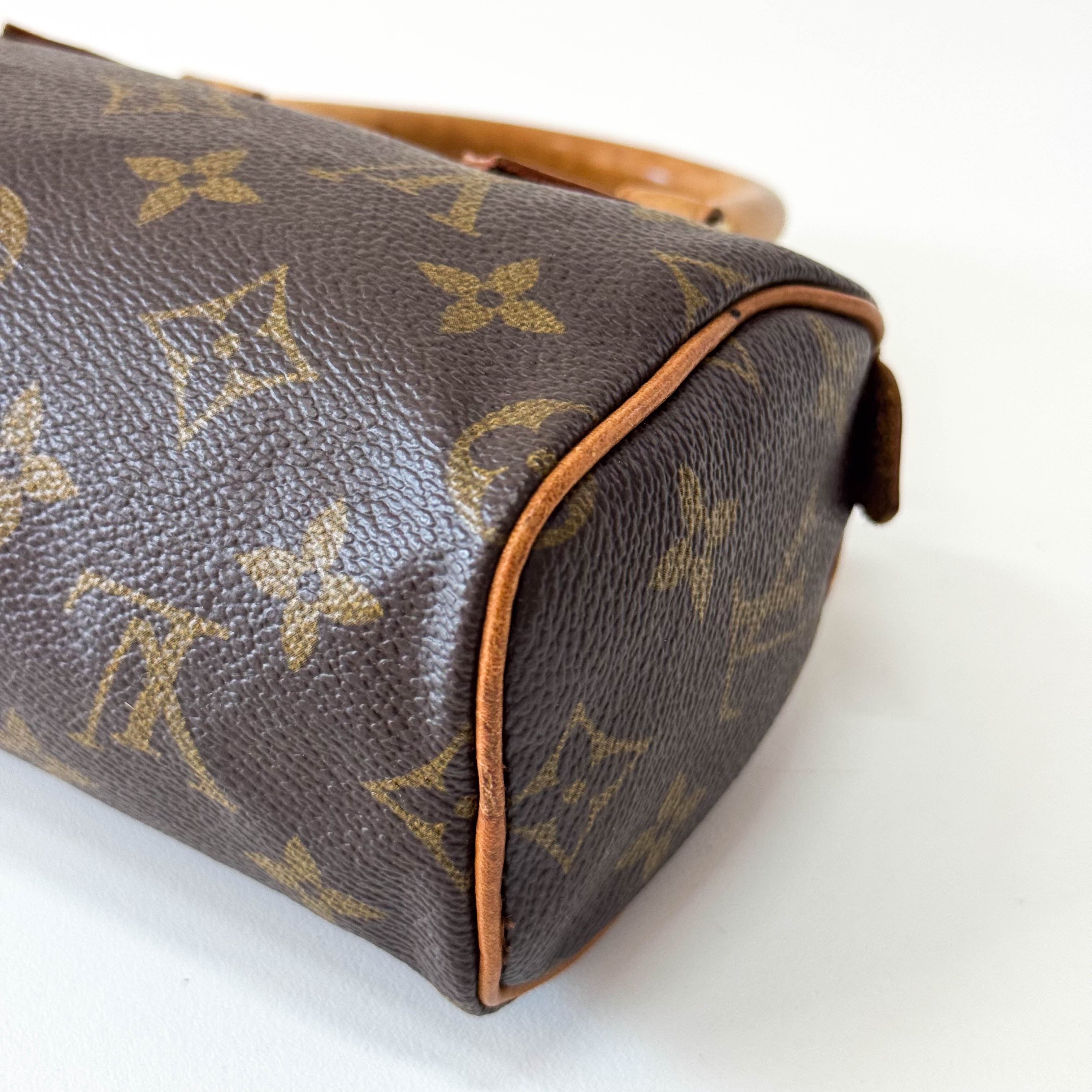 Monogram Mini Speedy Bag