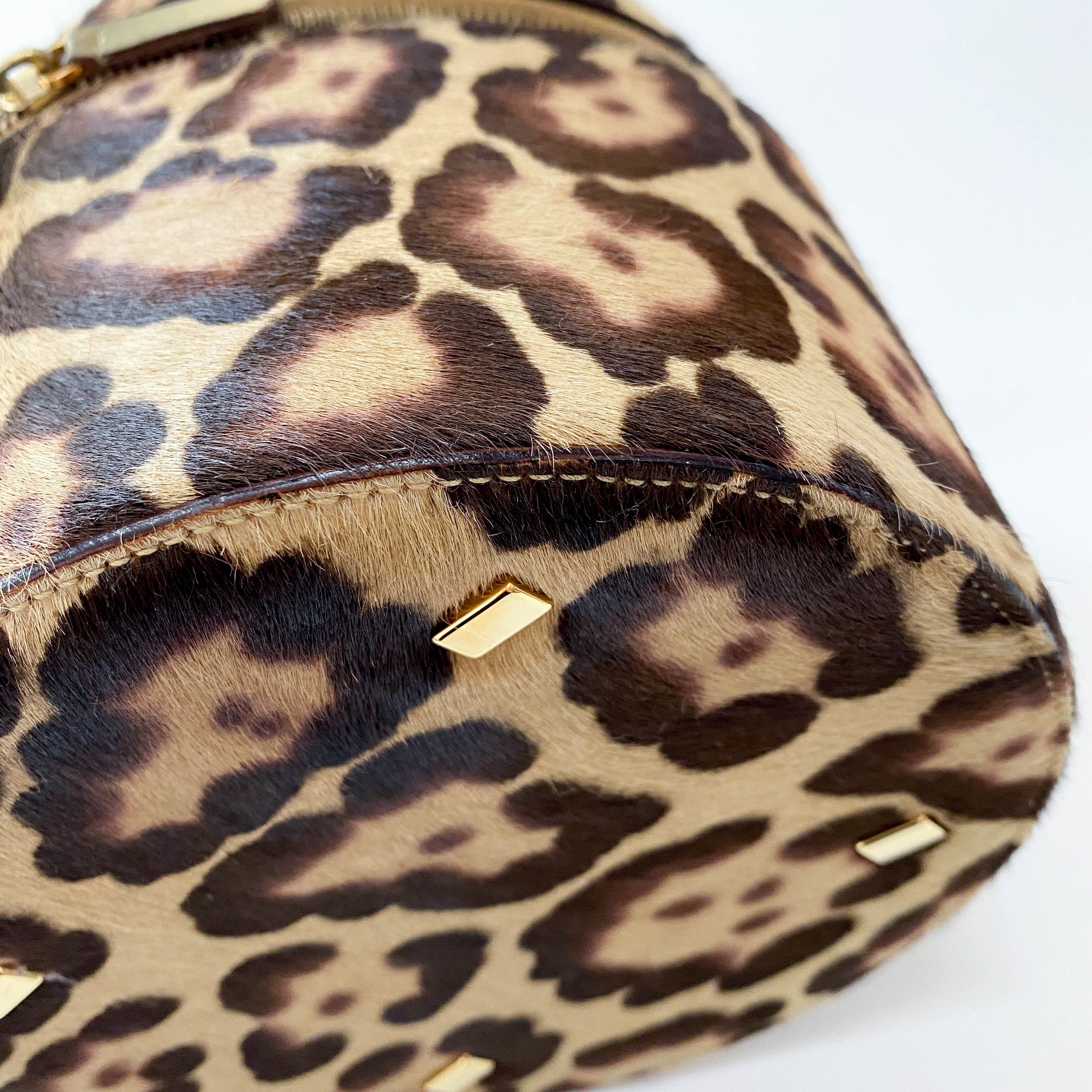 Leopard Print Pony Hair Gold Handle Vanity Bag