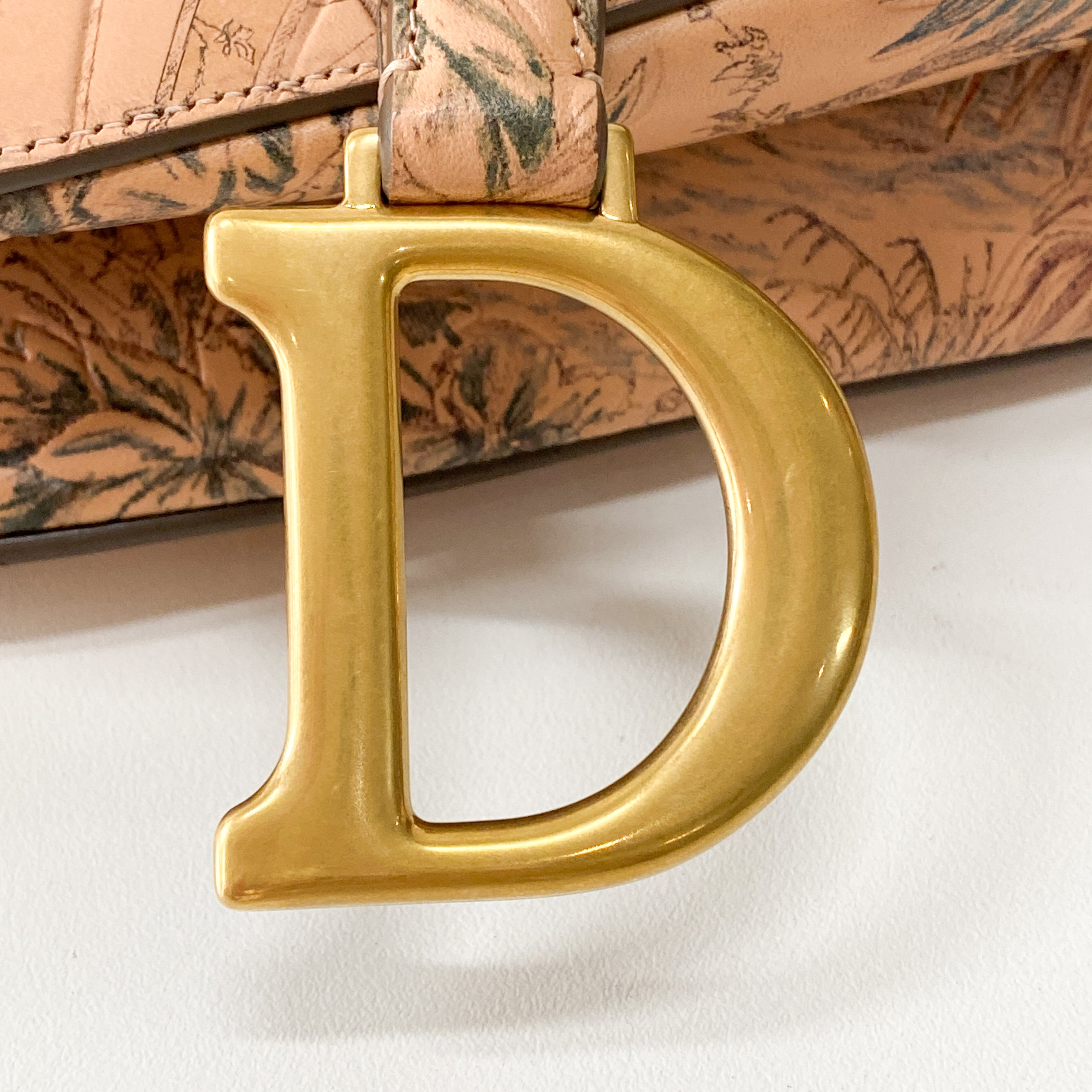 Saddle Galliano Globe Special Edition Pink Calfskin Bag