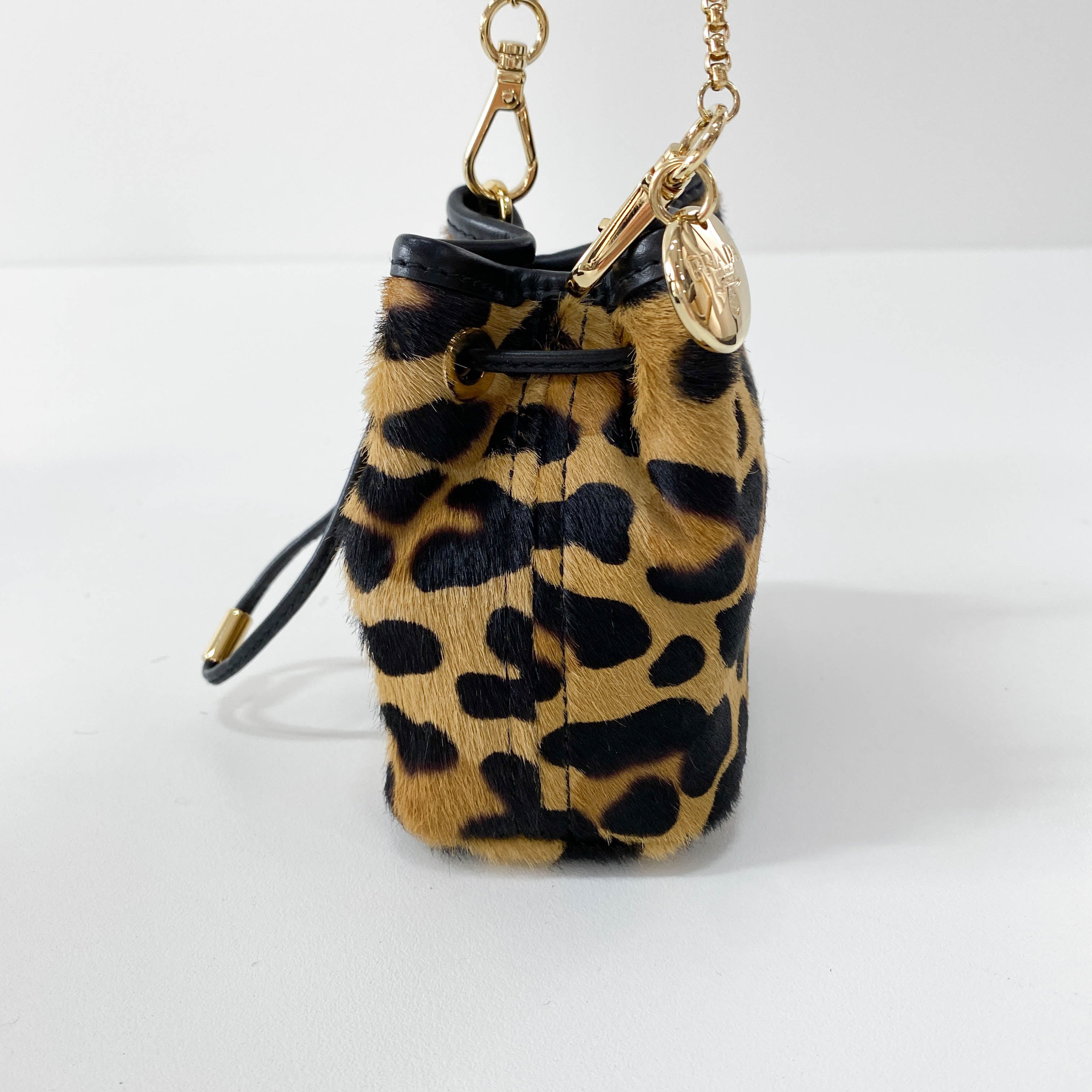 Mini Pouch Bag Leopard Print Pony Hair