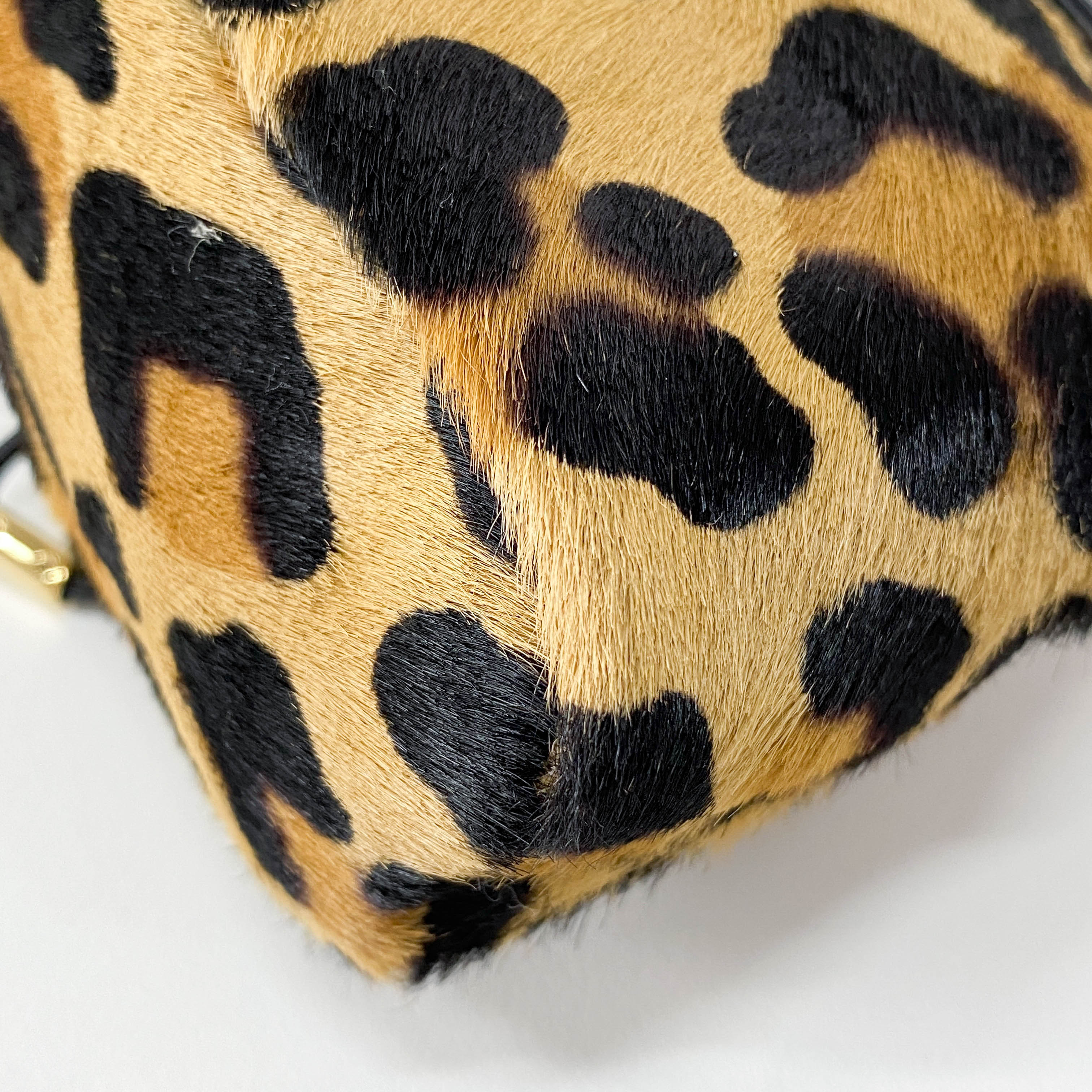 Mini Pouch Bag Leopard Print Pony Hair