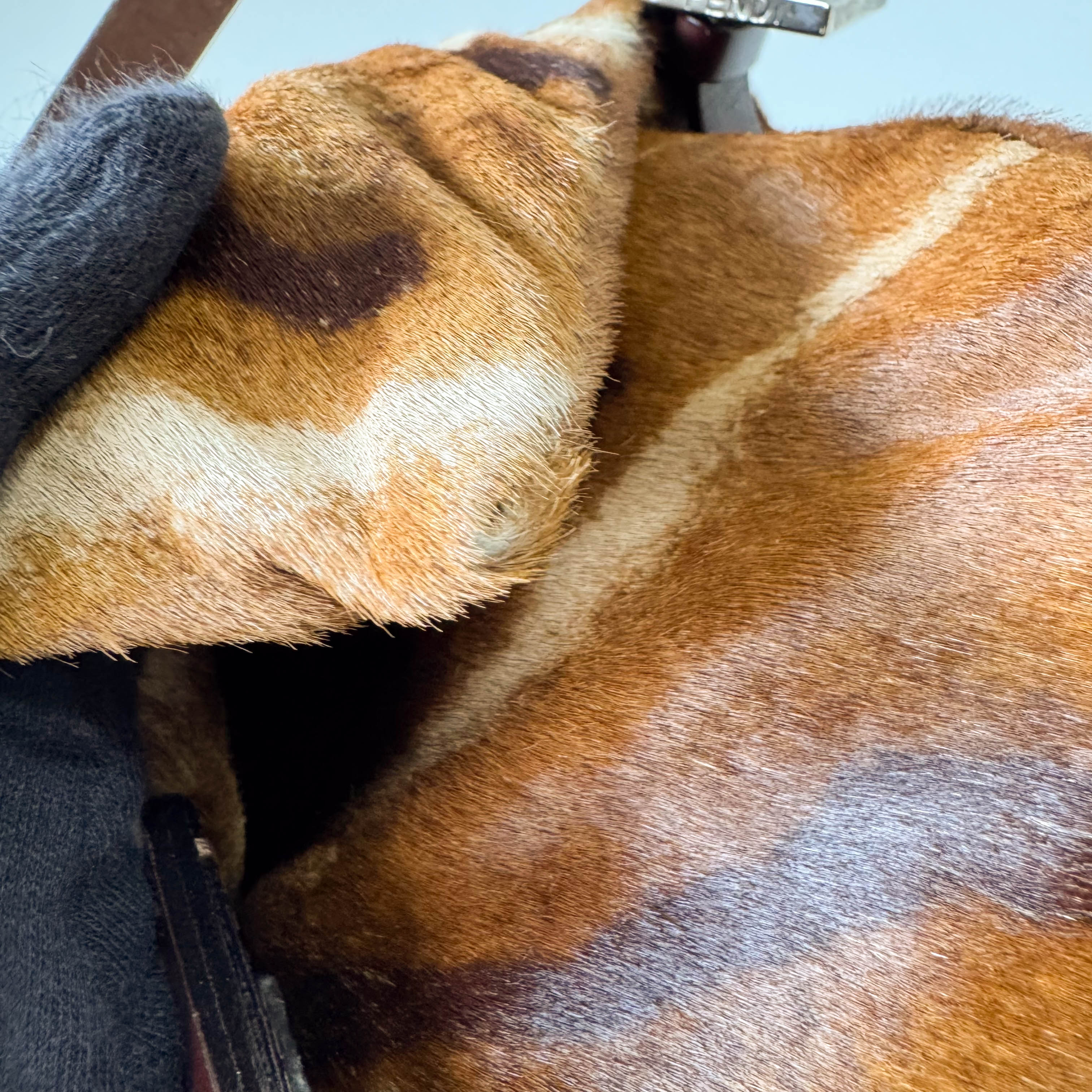 Mamma Baguette Brown Pony Hair Shoulder Bag