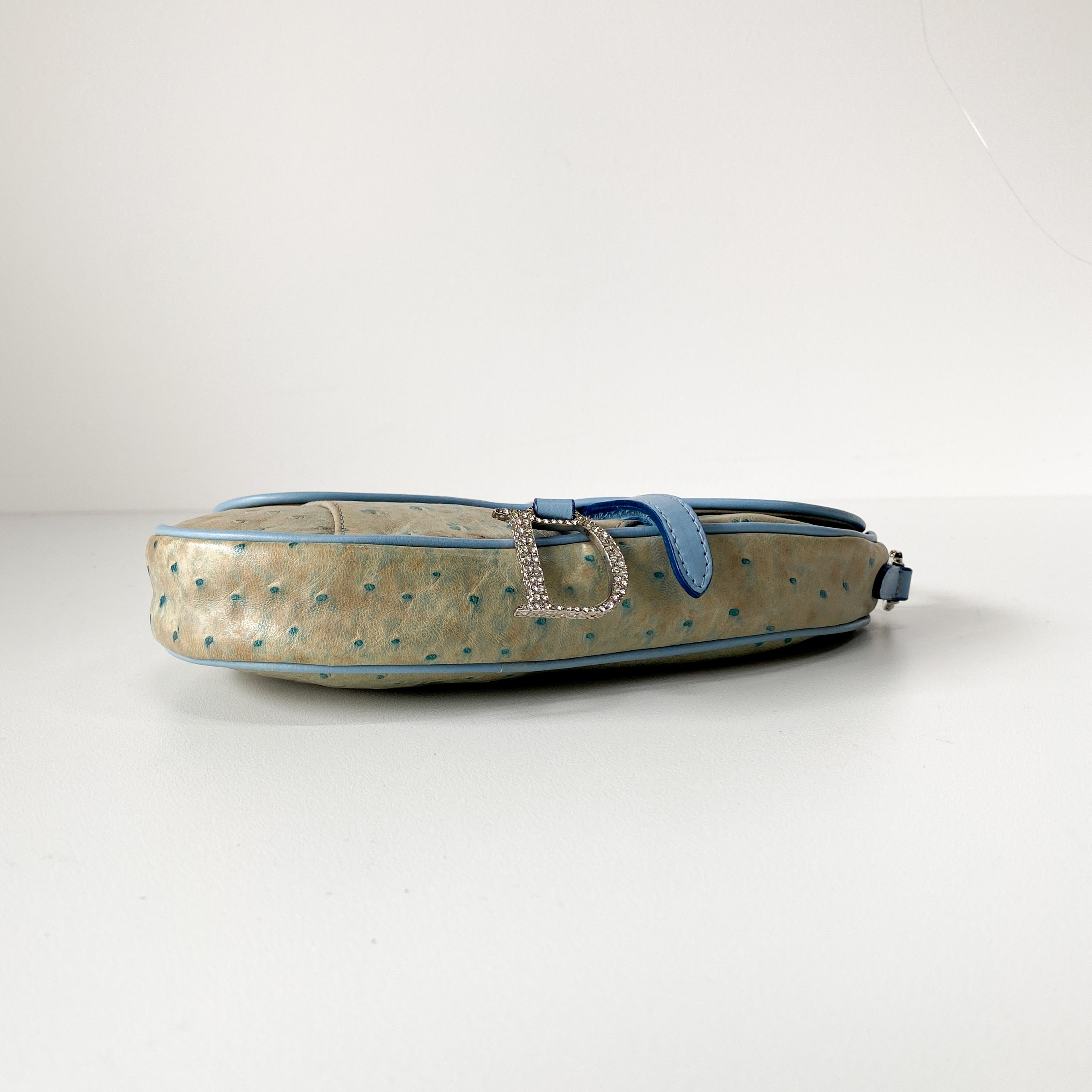 Saddle Multi-colour Leather & Rhinestone Bag