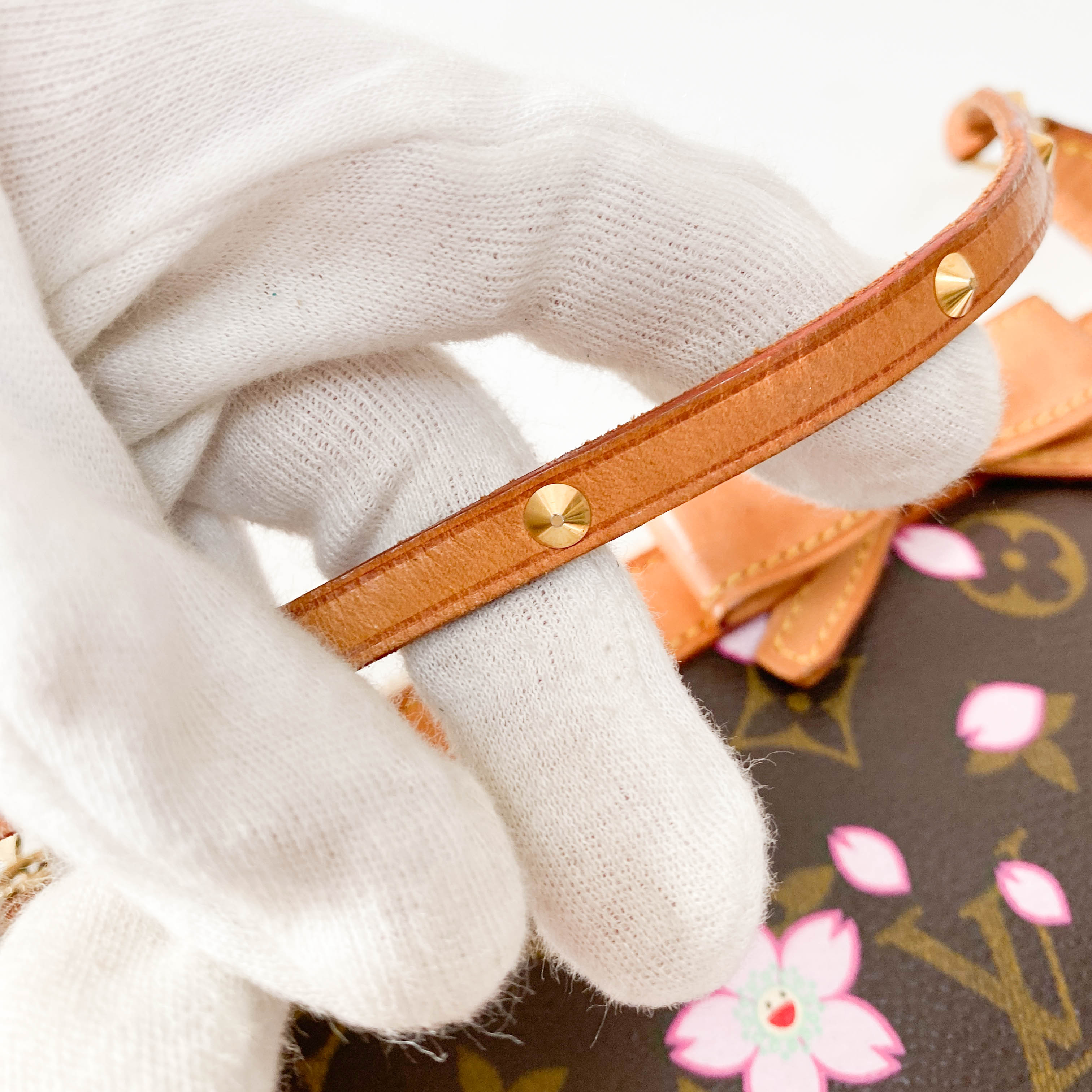 Louis Vuitton x Takashi Murakami Monogram Cherry Blossom Pochette Accessoire