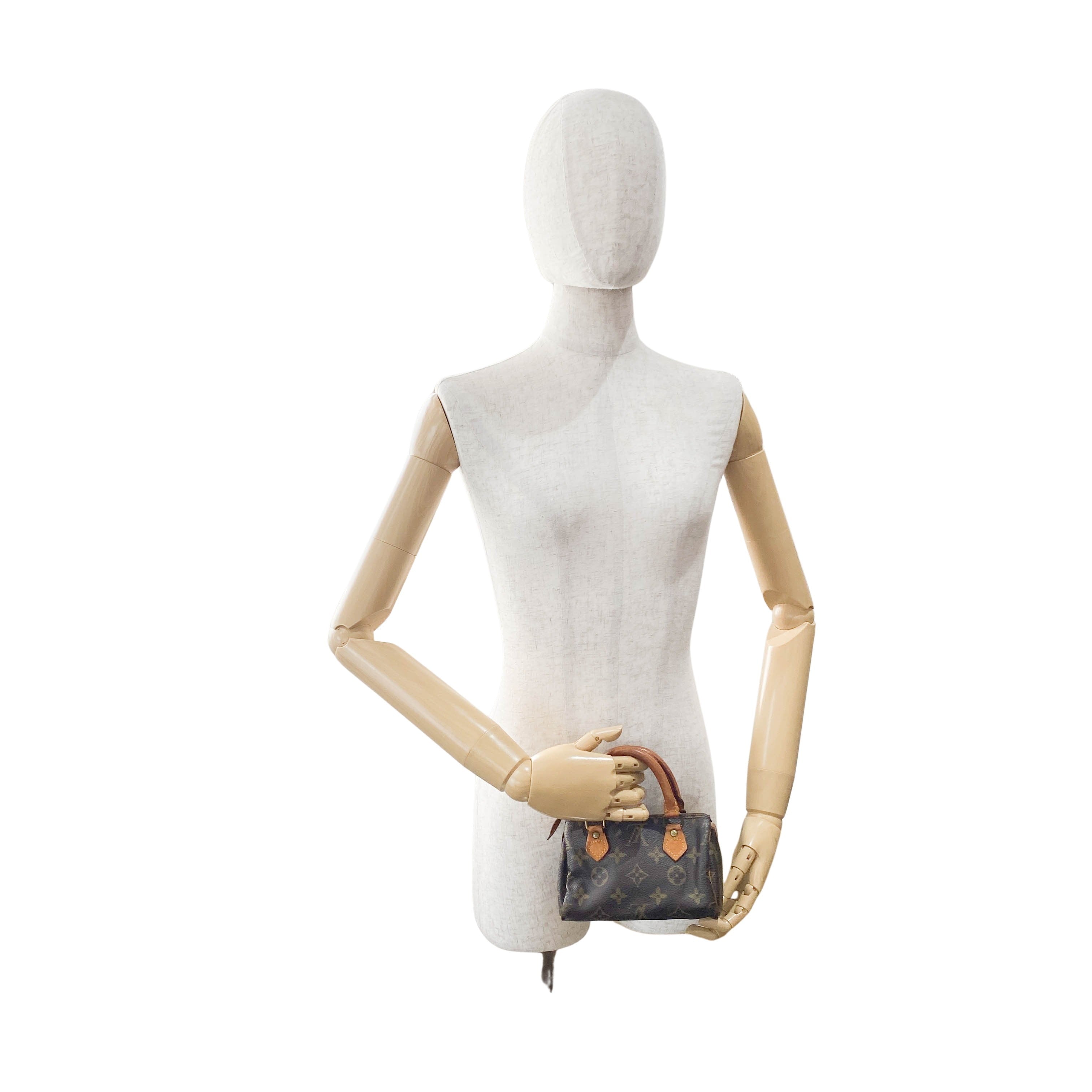 Mini Speedy Brown Monogram Leather Bag