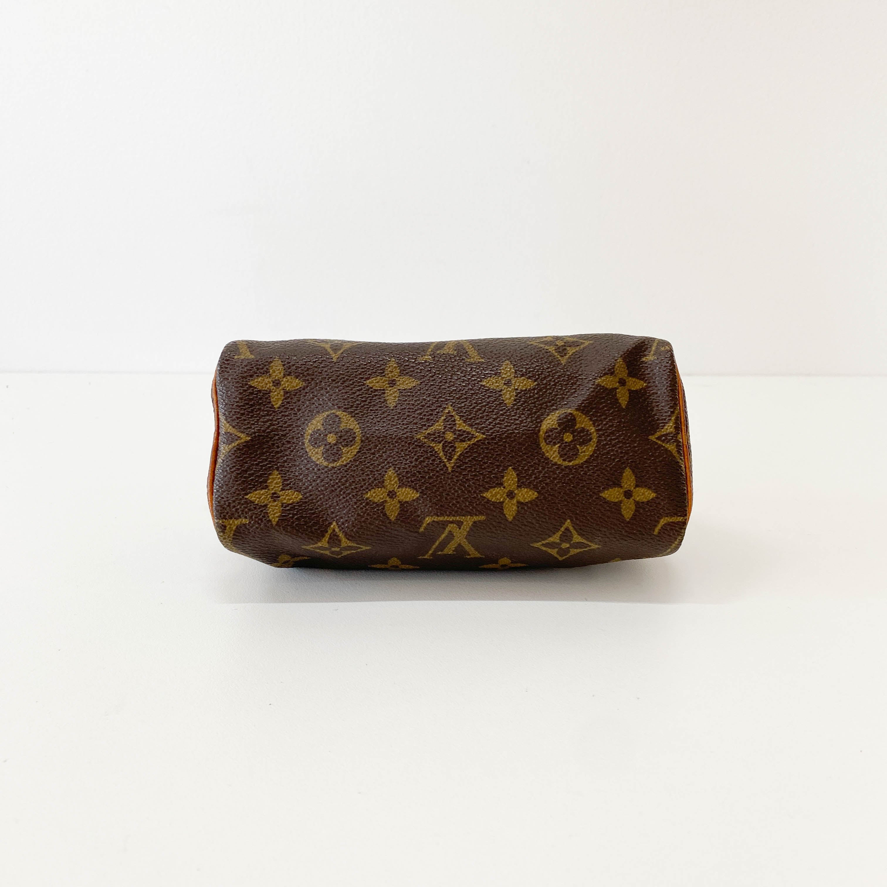 Mini Speedy Brown Monogram Leather Bag
