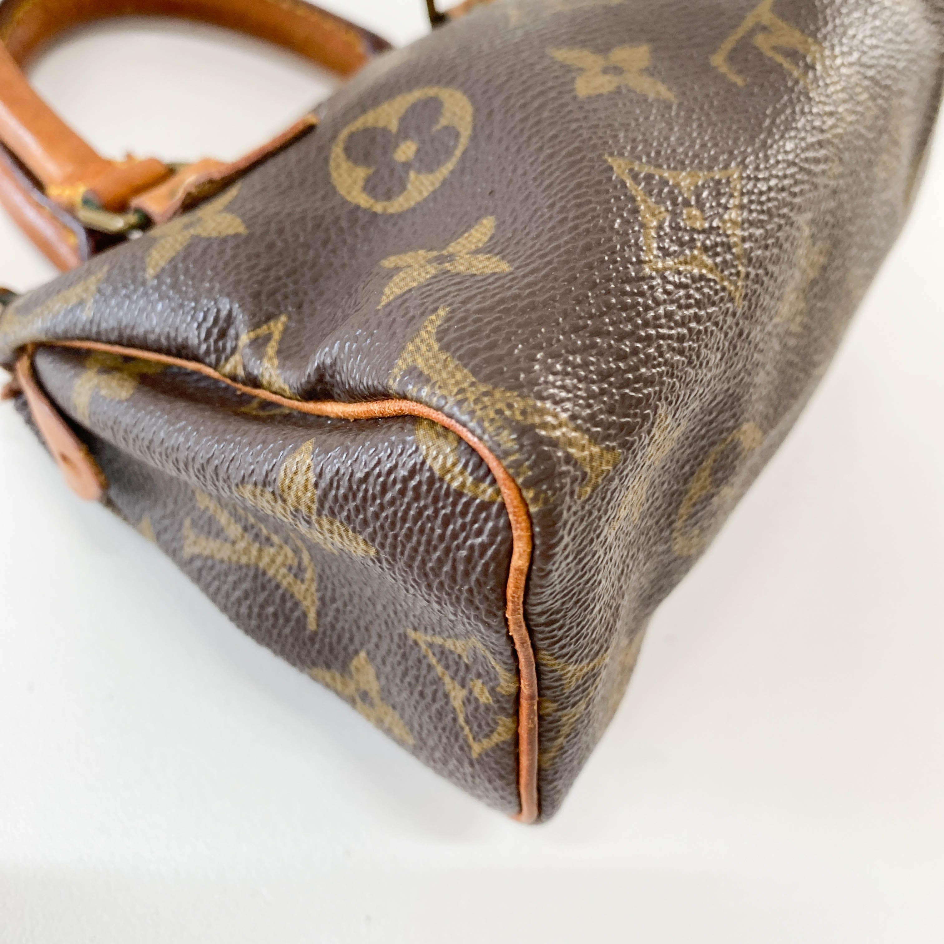 Mini Speedy Brown Monogram Leather Bag