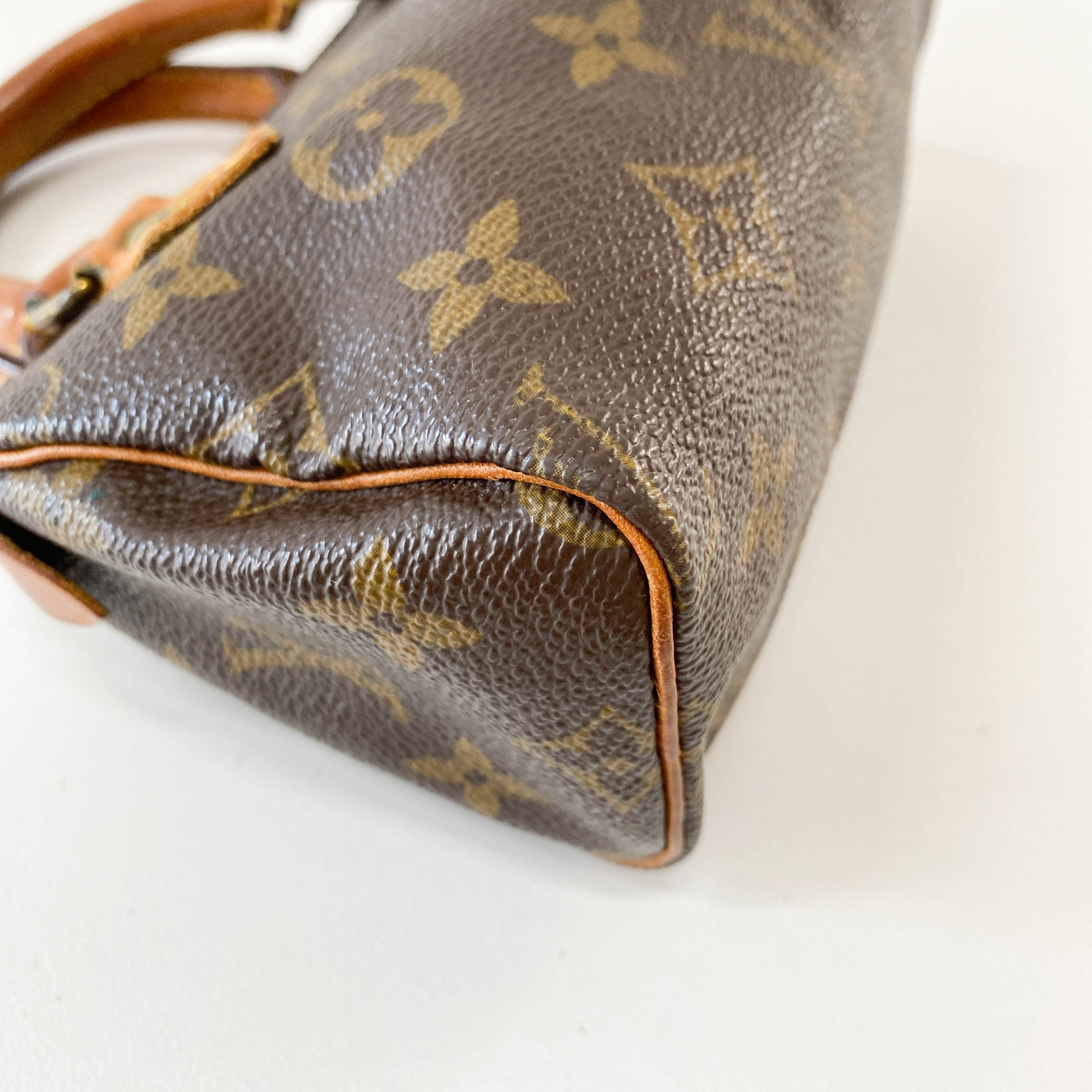 Mini Speedy Brown Monogram Leather Bag