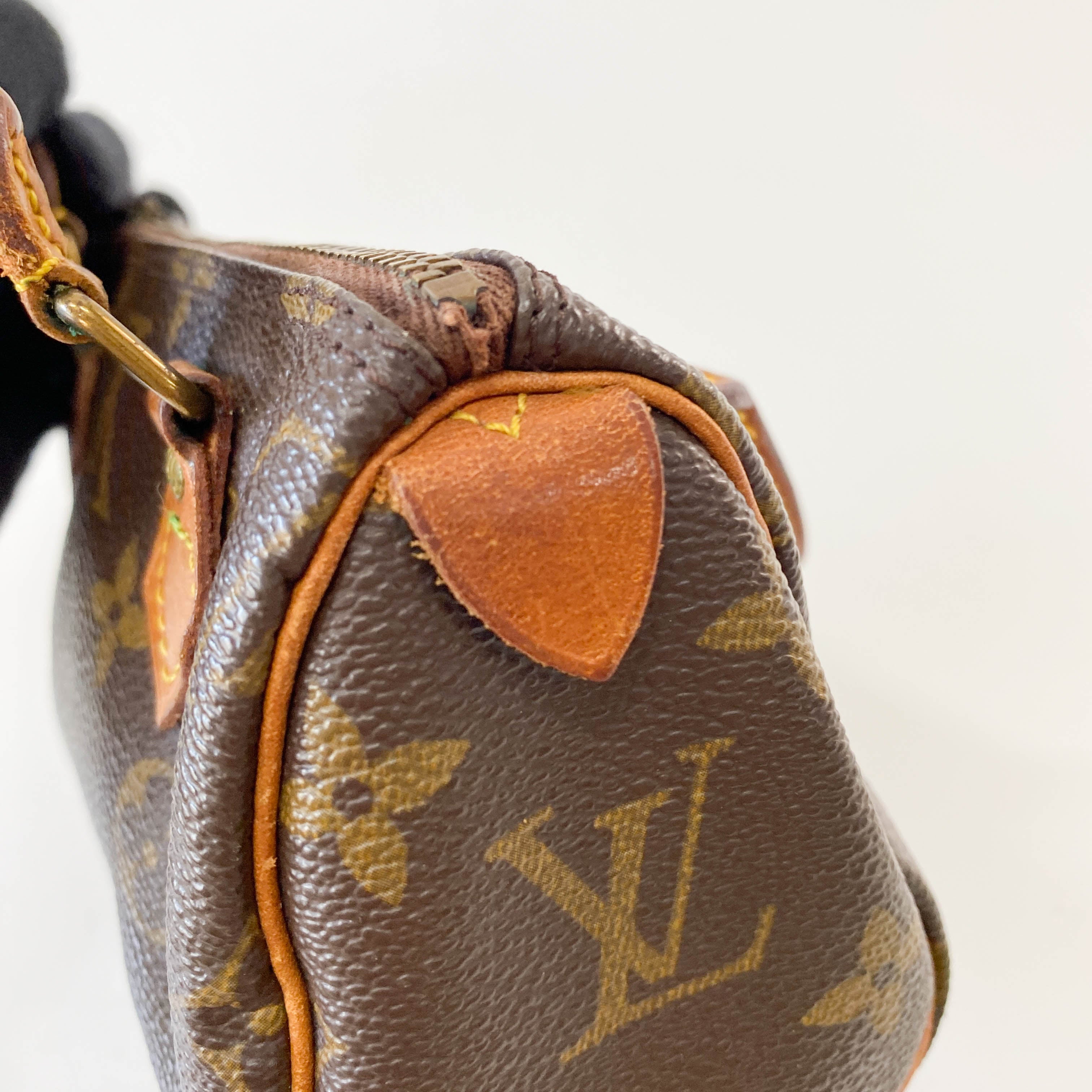 Mini Speedy Brown Monogram Leather Bag