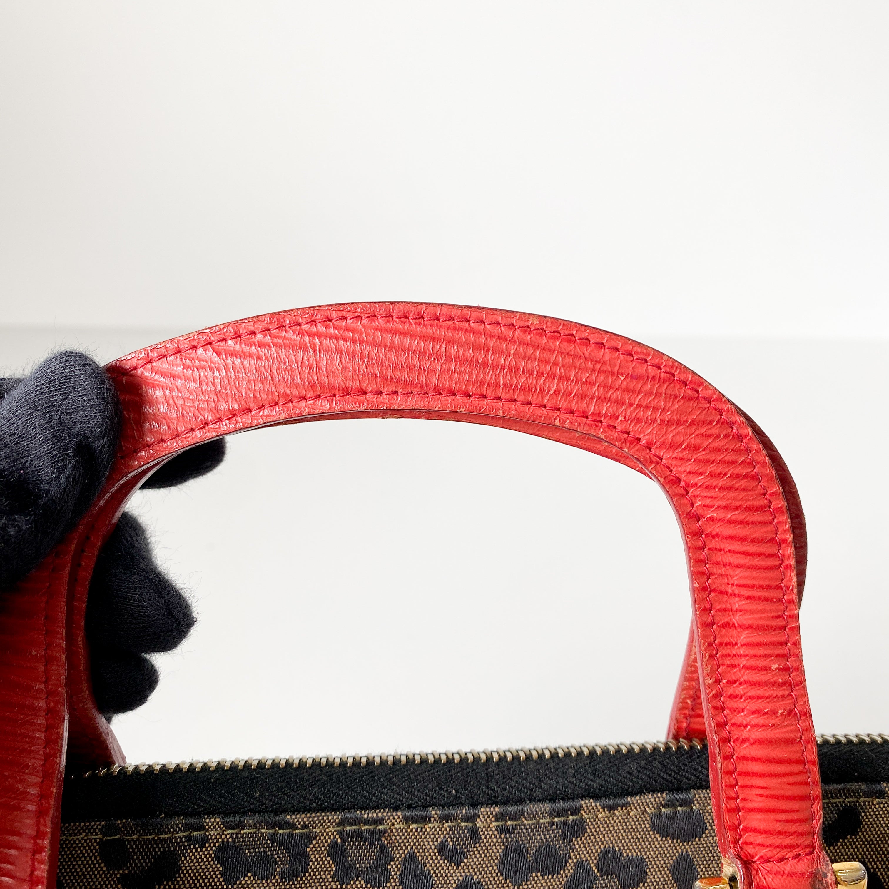 Small Brown Leopard Print Bag