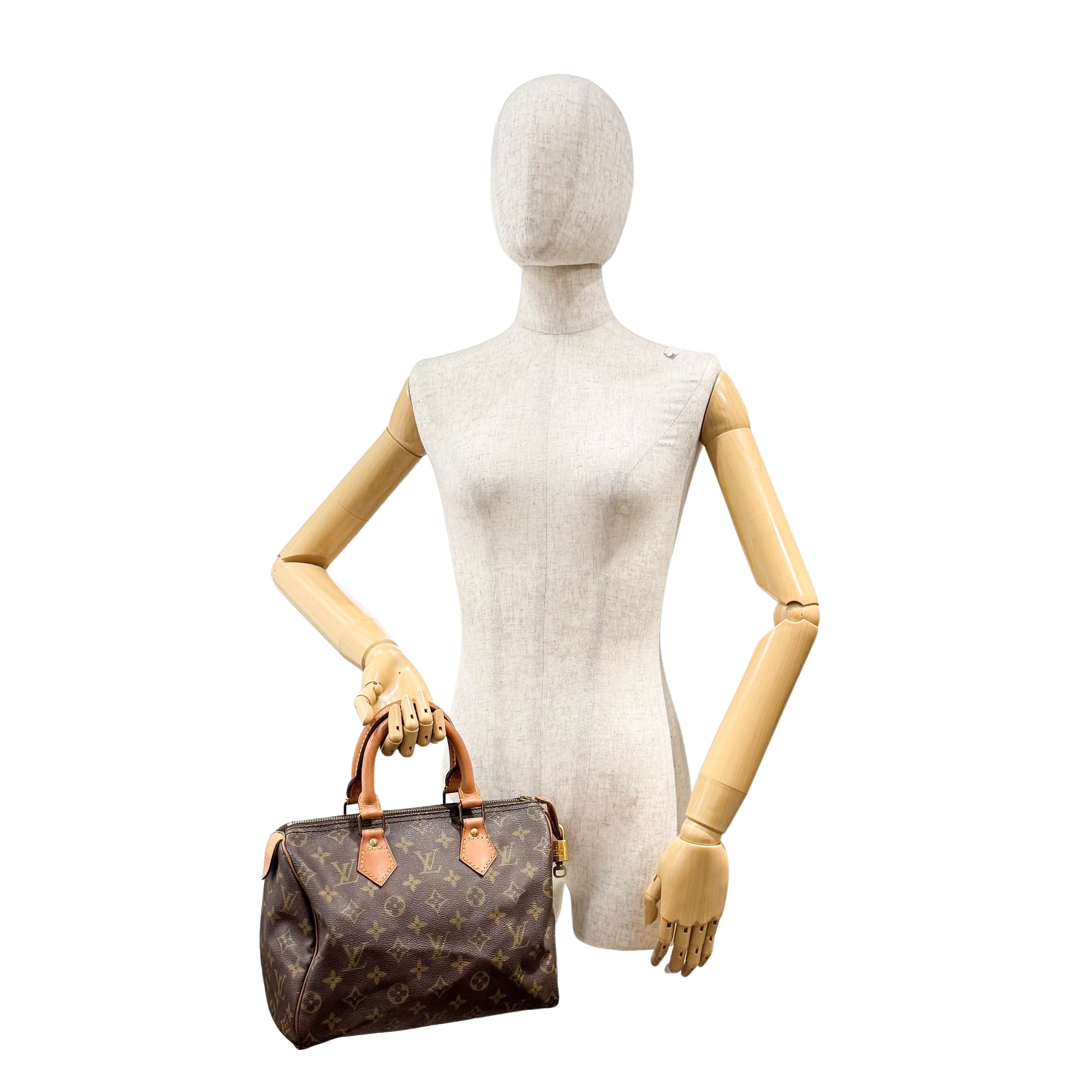 Speedy 25 Monogram Canvas Hand Bag