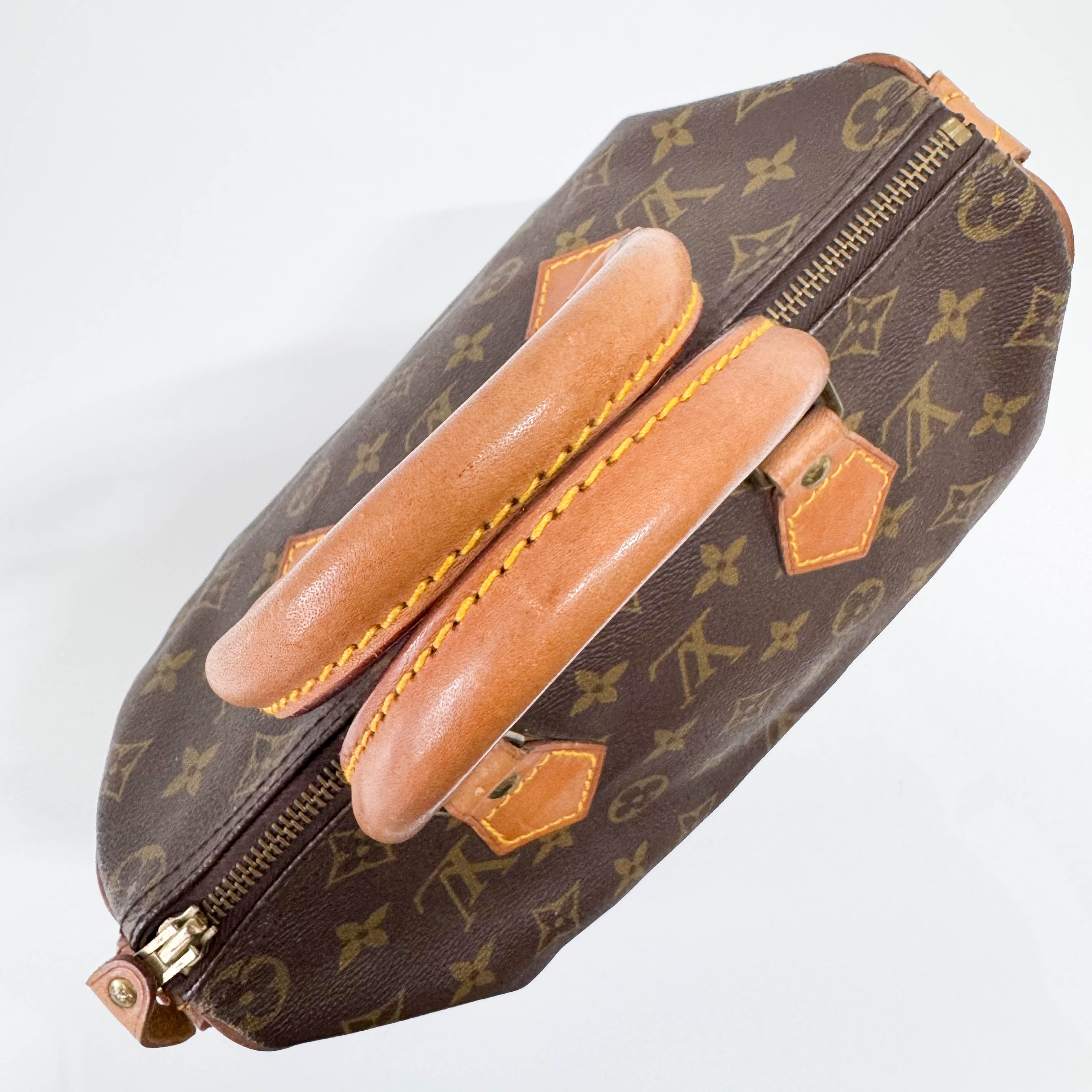 Speedy 25 Monogram Canvas Hand Bag