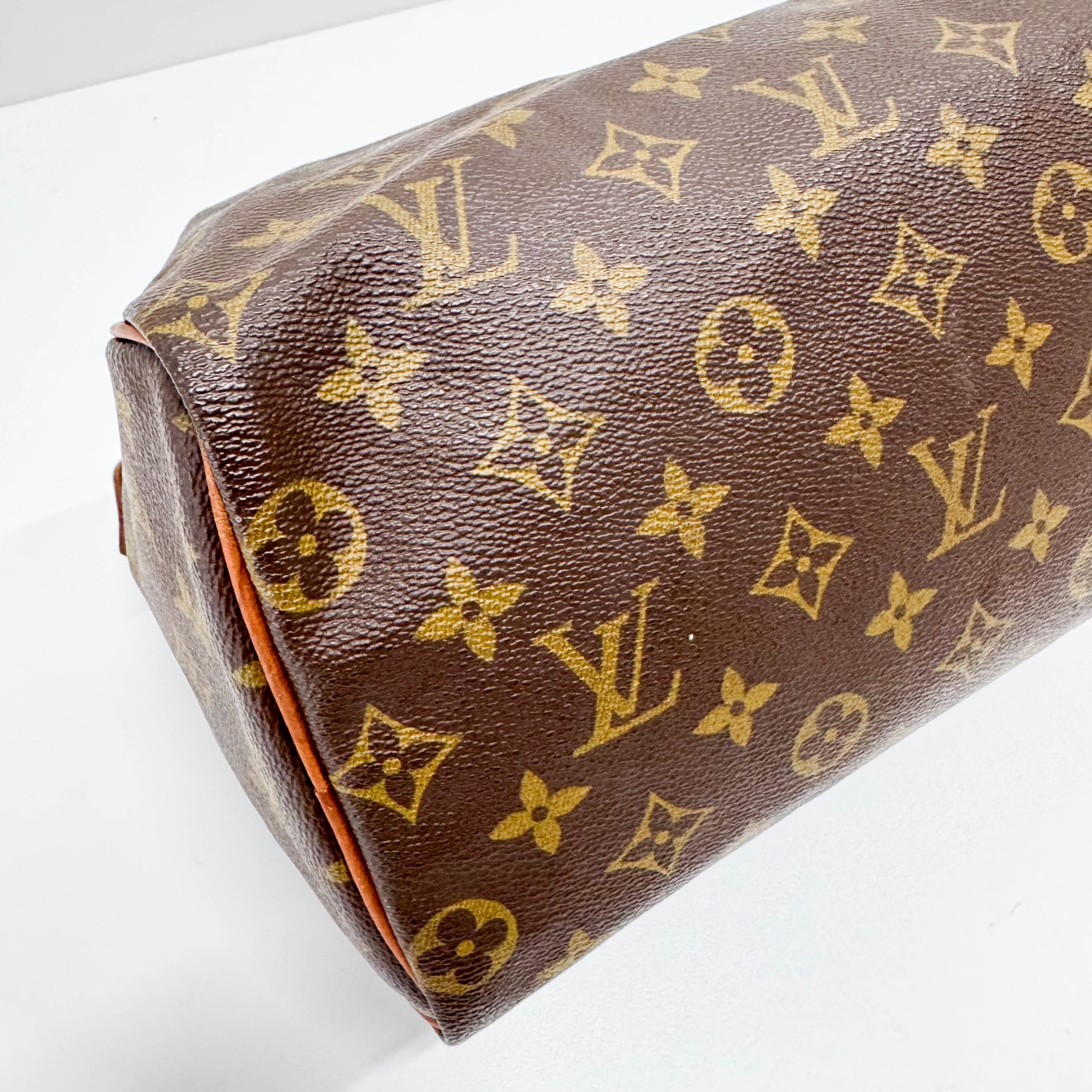 Speedy 25 Monogram Canvas Hand Bag