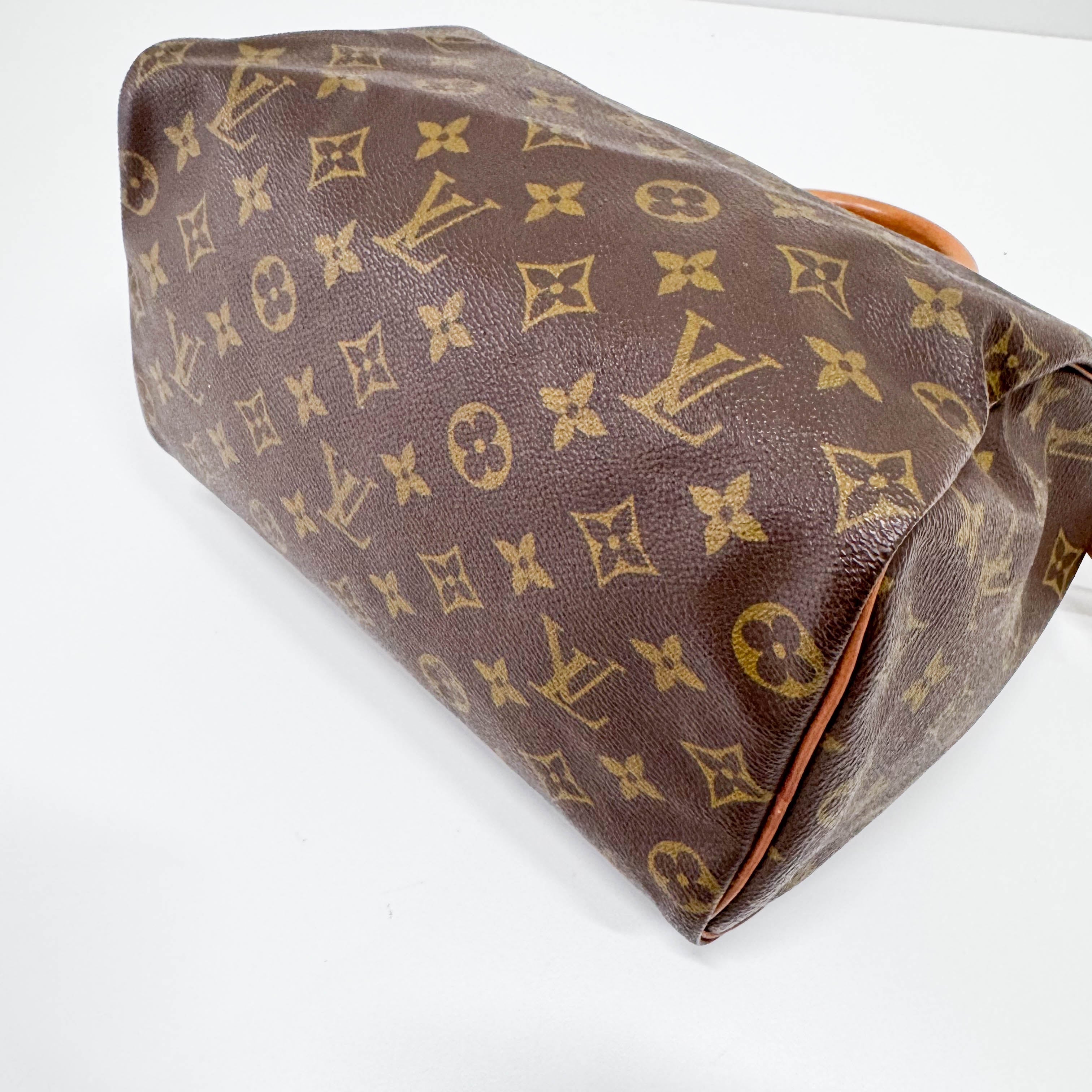 Speedy 25 Monogram Canvas Hand Bag