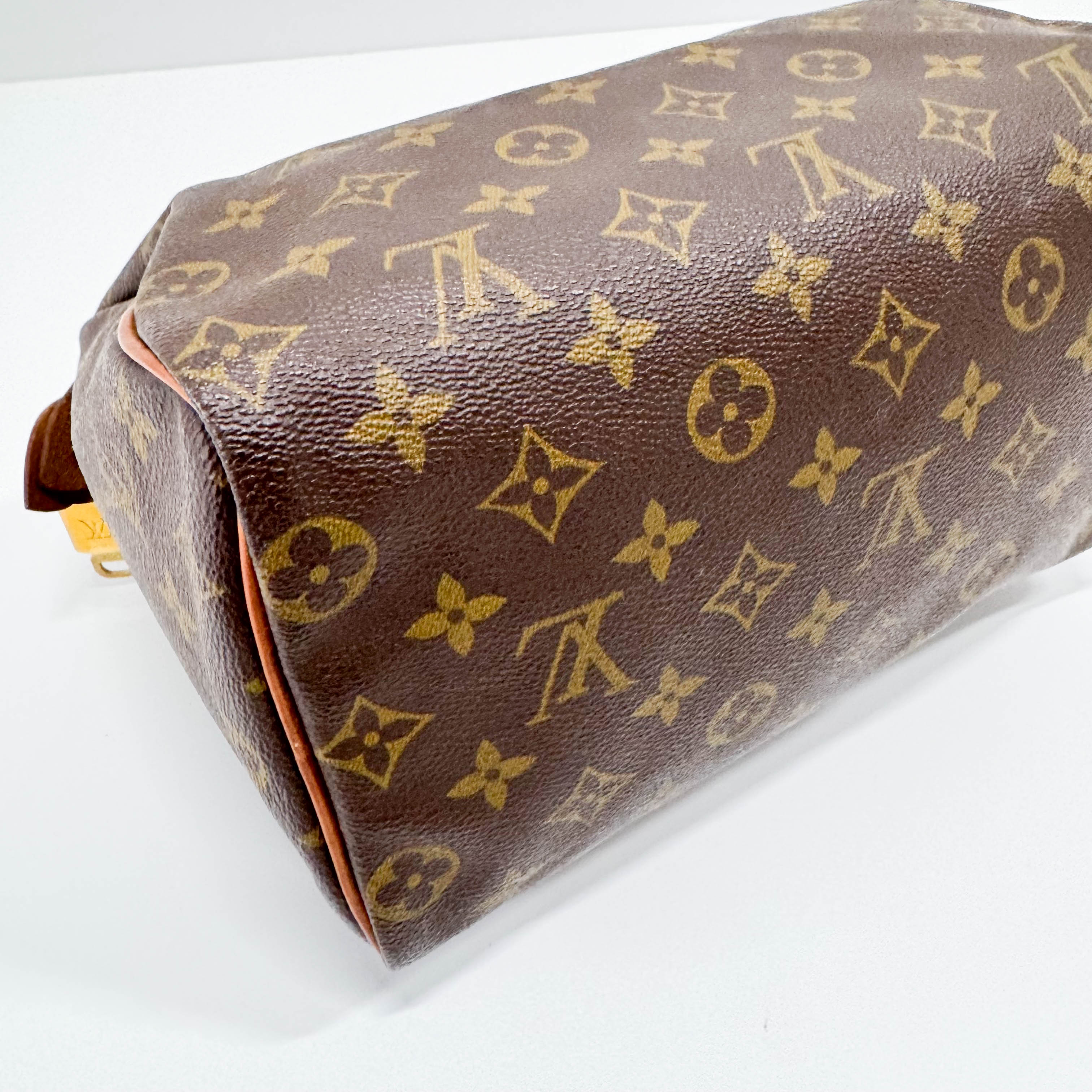 Speedy 25 Monogram Canvas Hand Bag