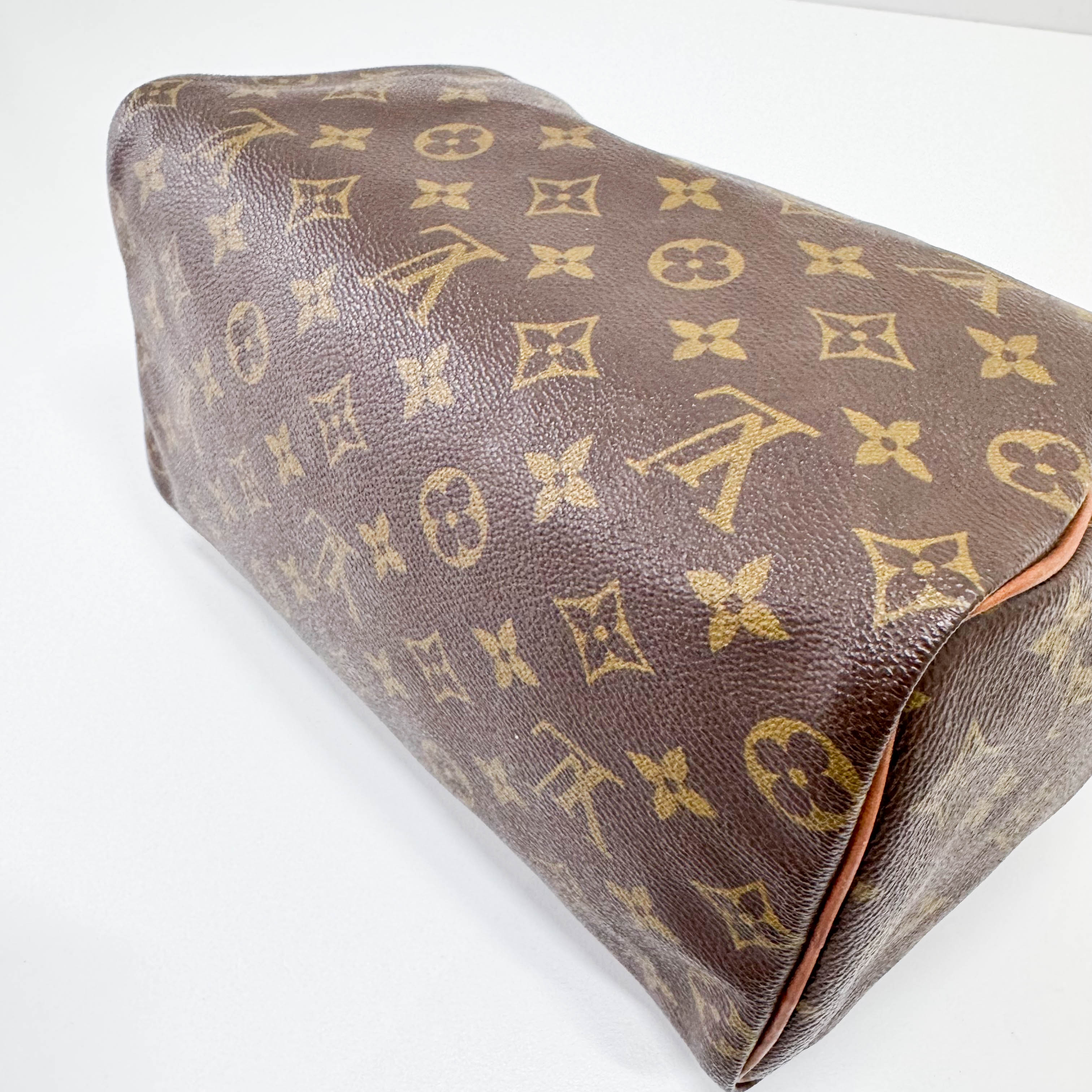 Speedy 25 Monogram Canvas Hand Bag