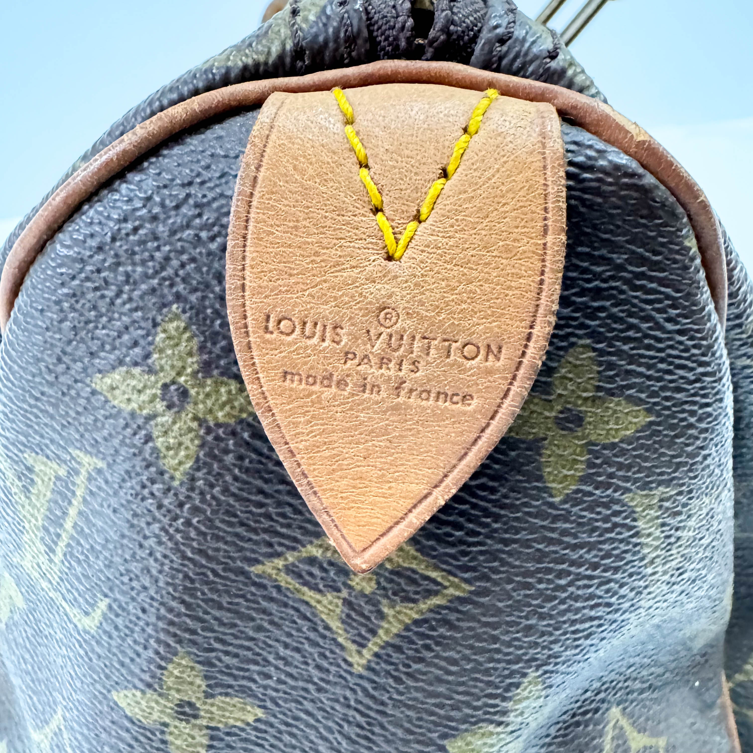 Speedy 25 Monogram Canvas Hand Bag