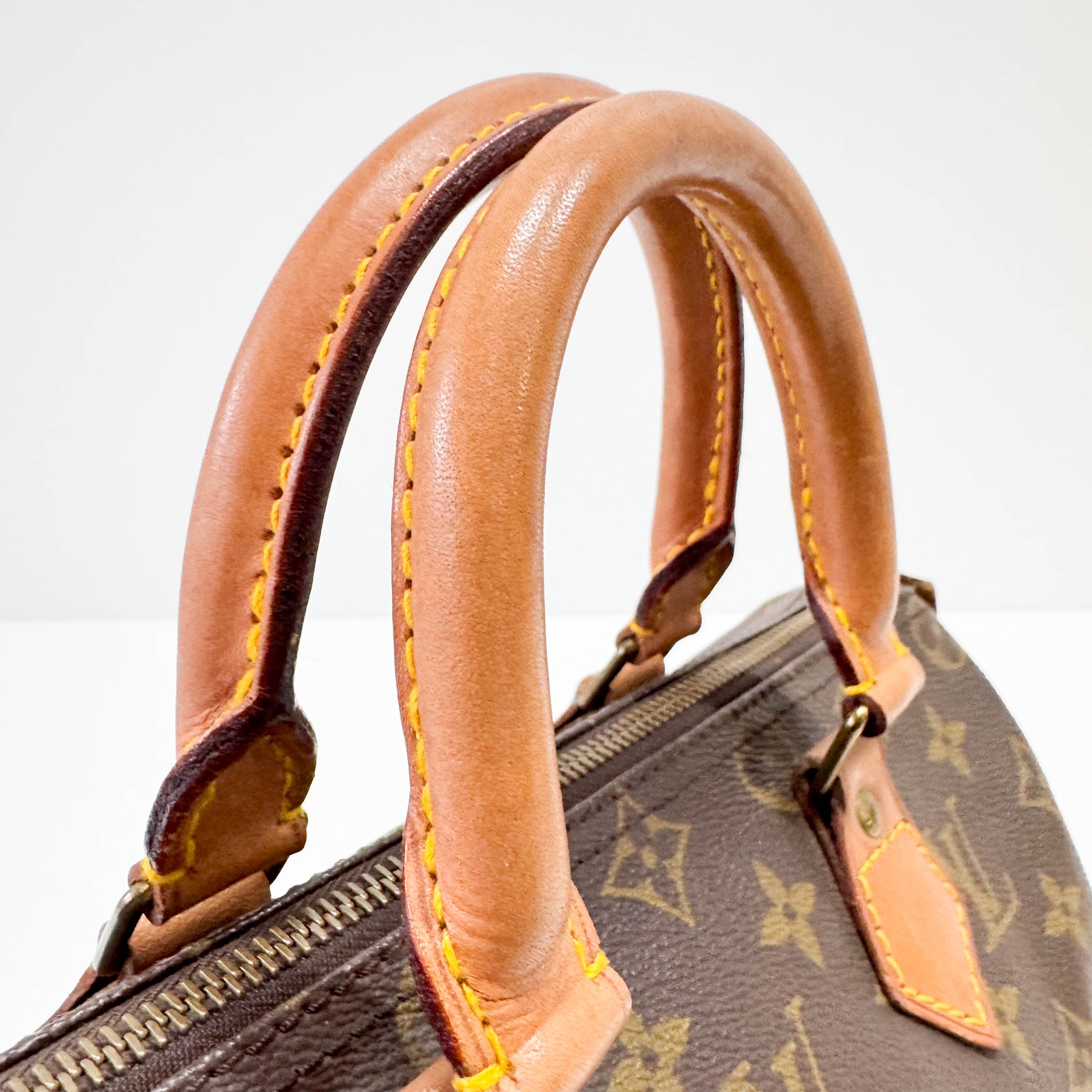 Speedy 25 Monogram Canvas Hand Bag