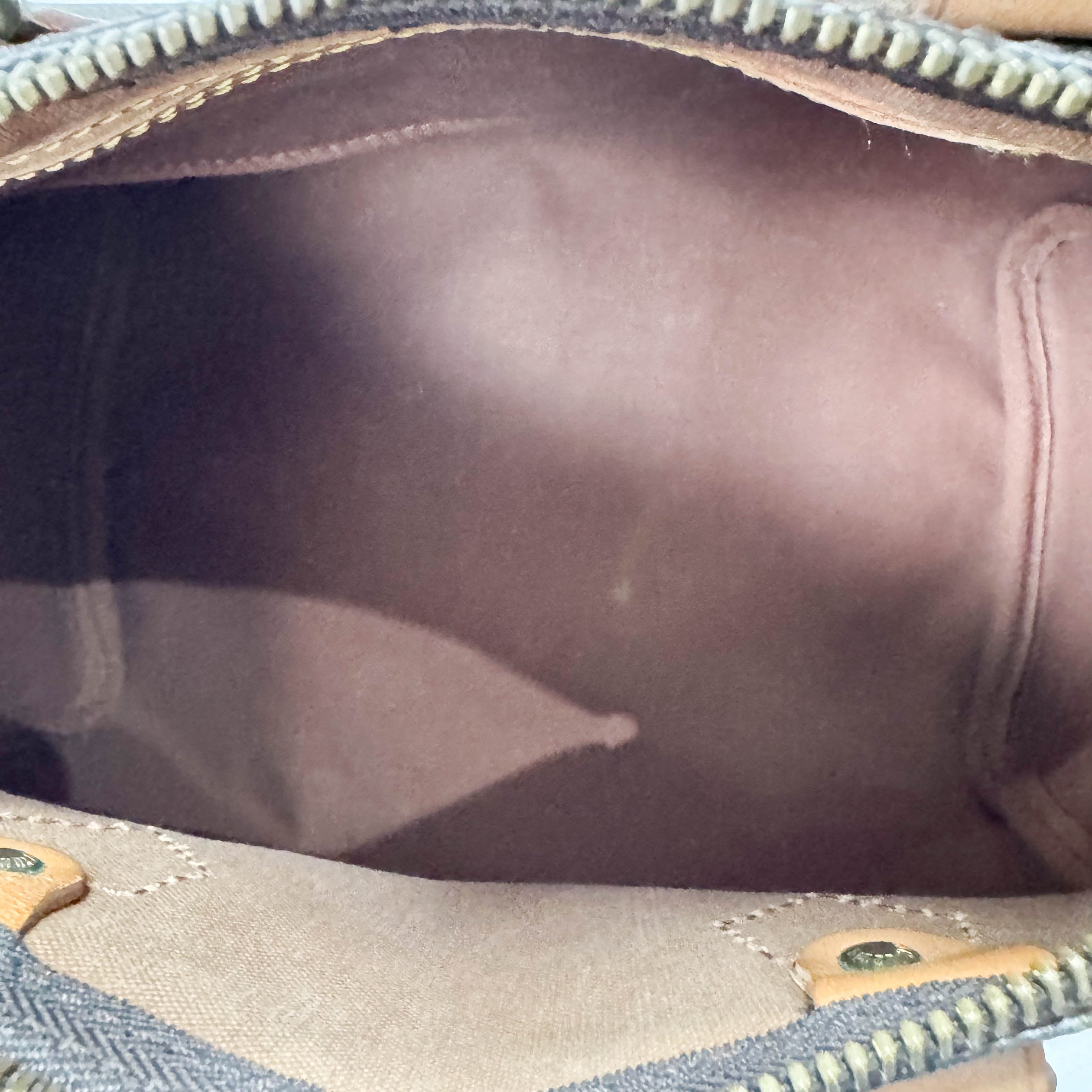 Speedy 25 Monogram Canvas Hand Bag