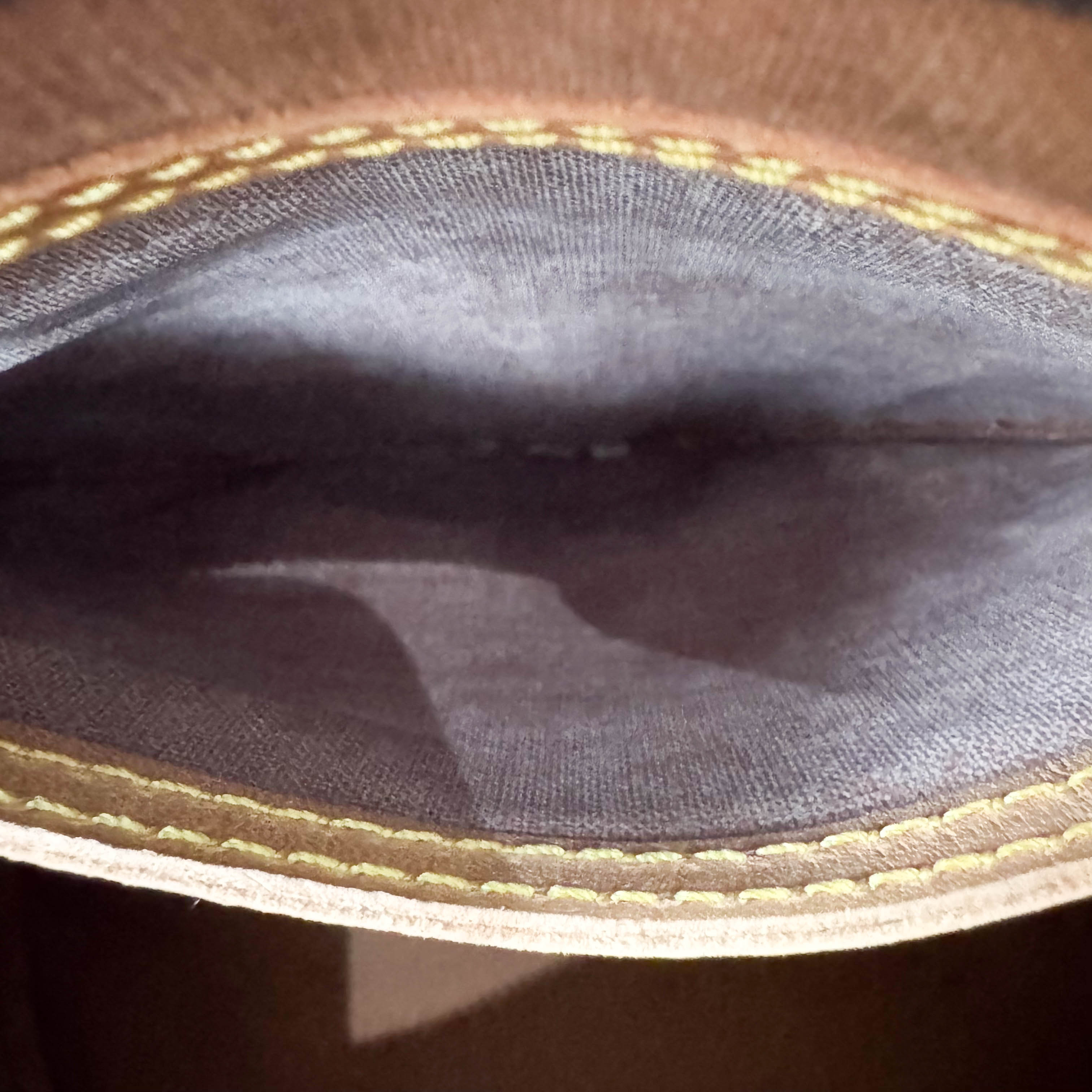 Speedy 25 Monogram Canvas Hand Bag