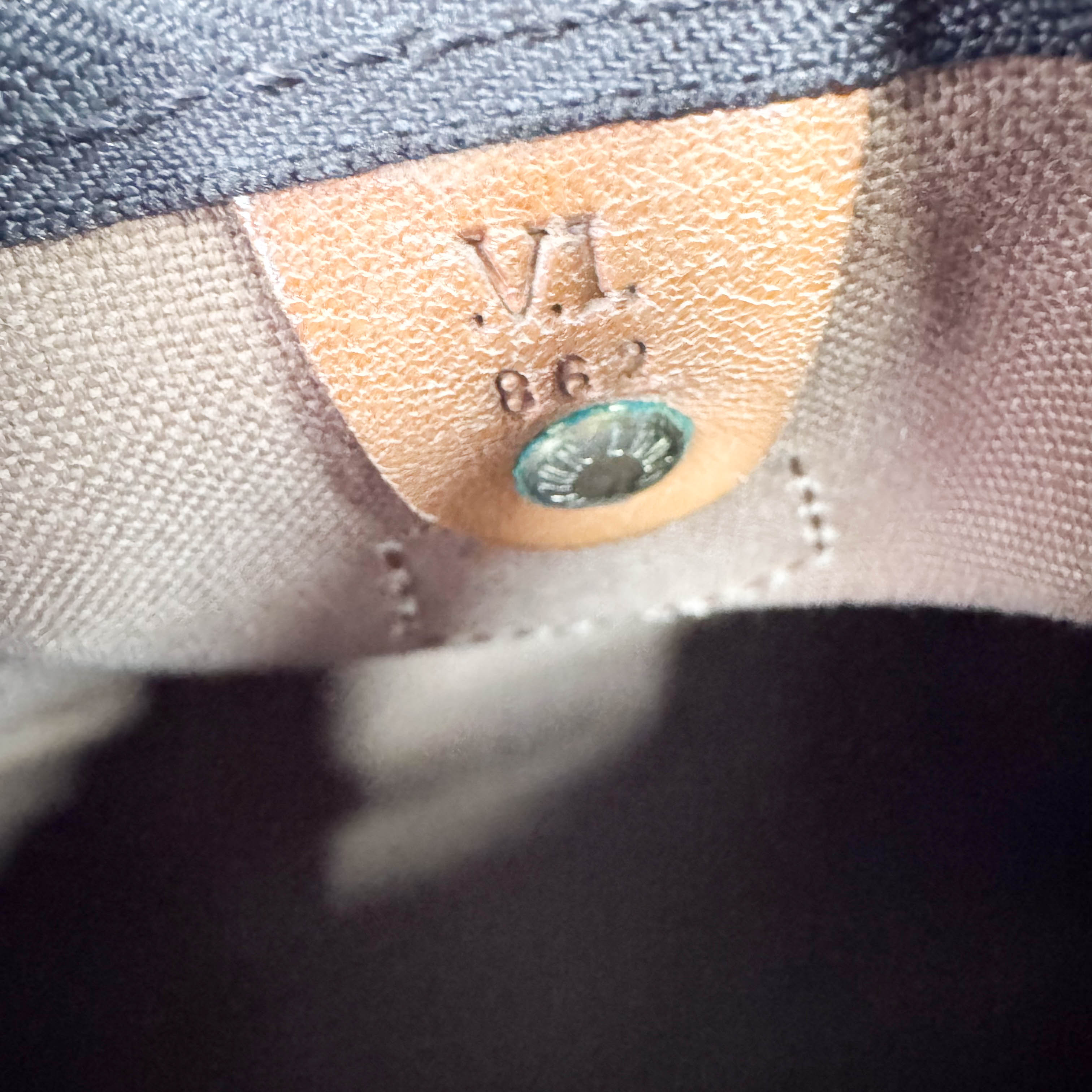 Speedy 25 Monogram Canvas Hand Bag