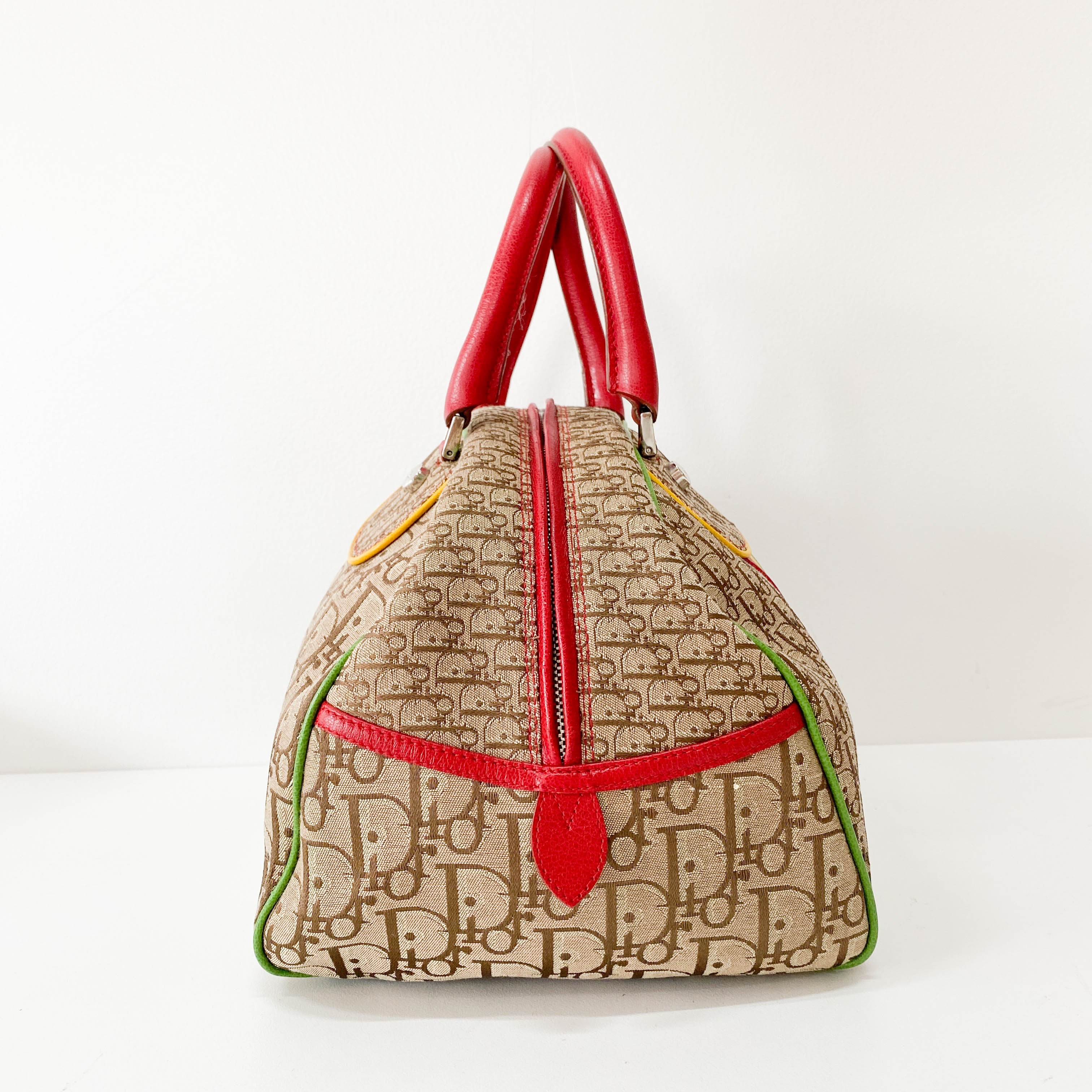 Rasta Trotter Brown Canvas Handbag