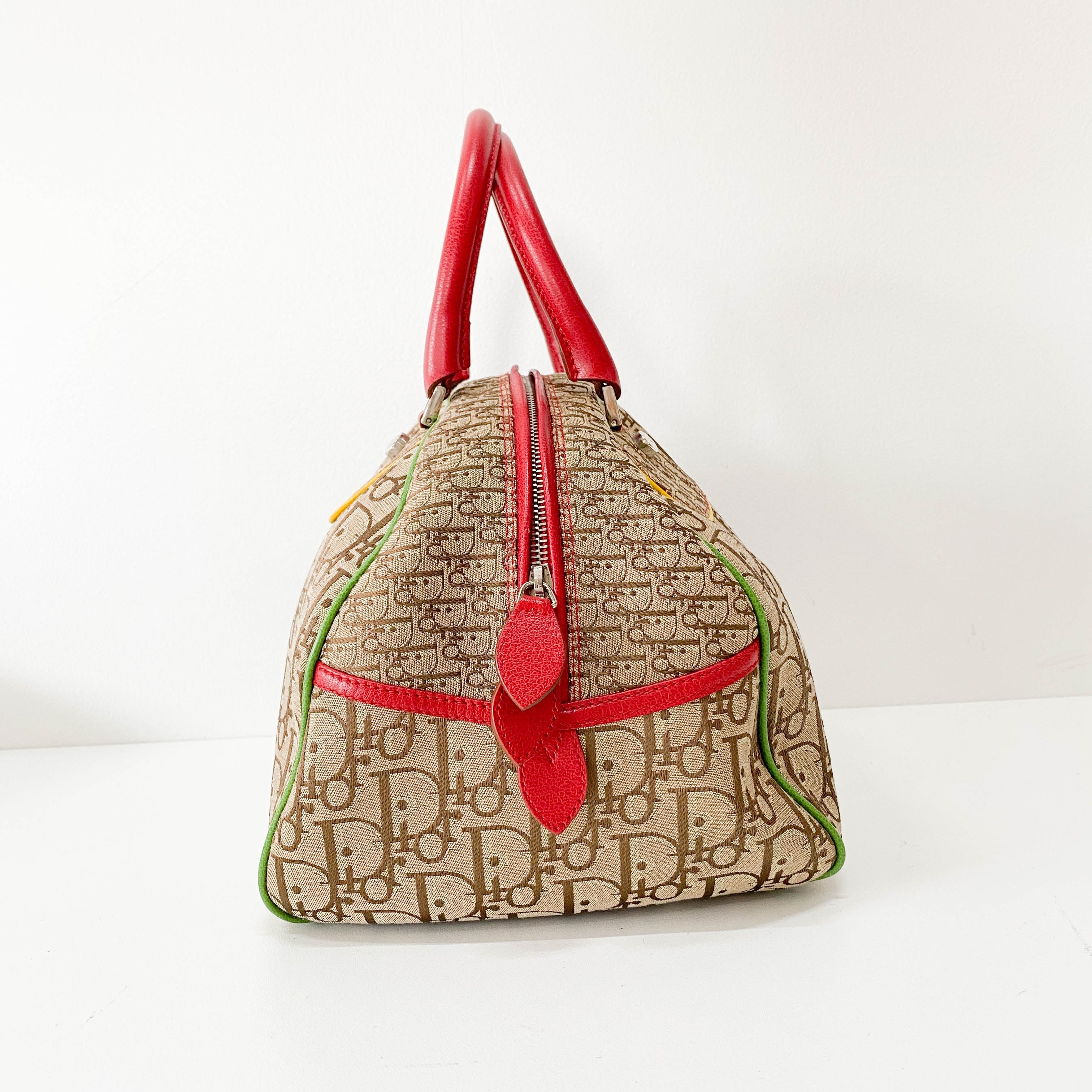 Rasta Trotter Brown Canvas Handbag