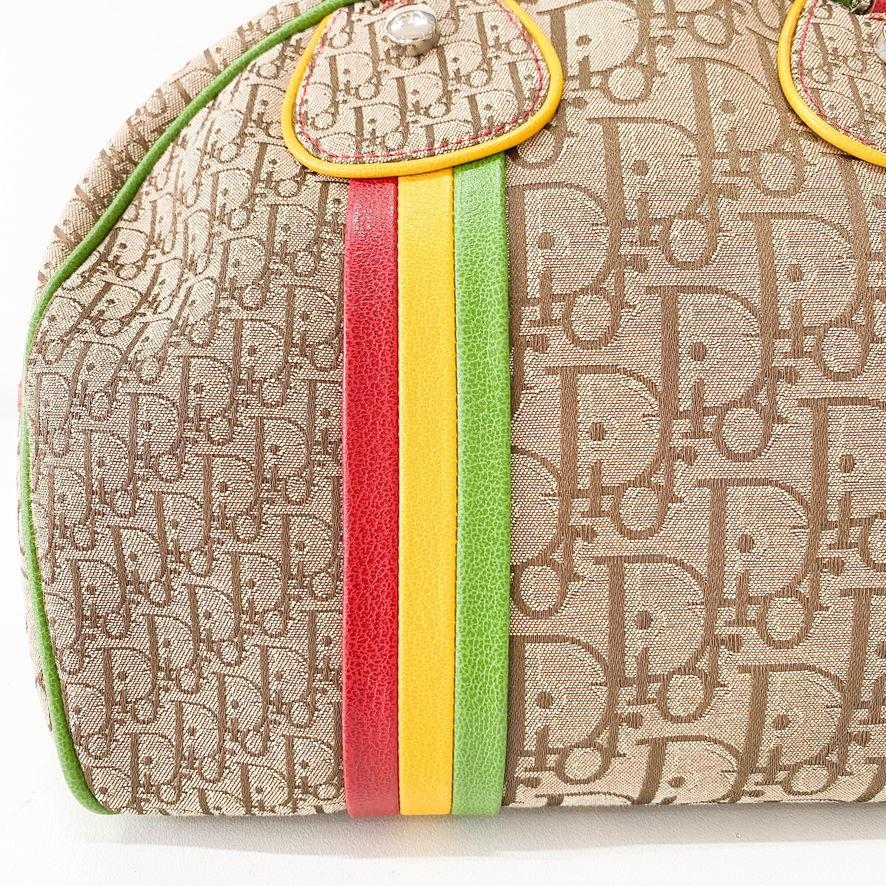 Rasta Trotter Brown Canvas Handbag