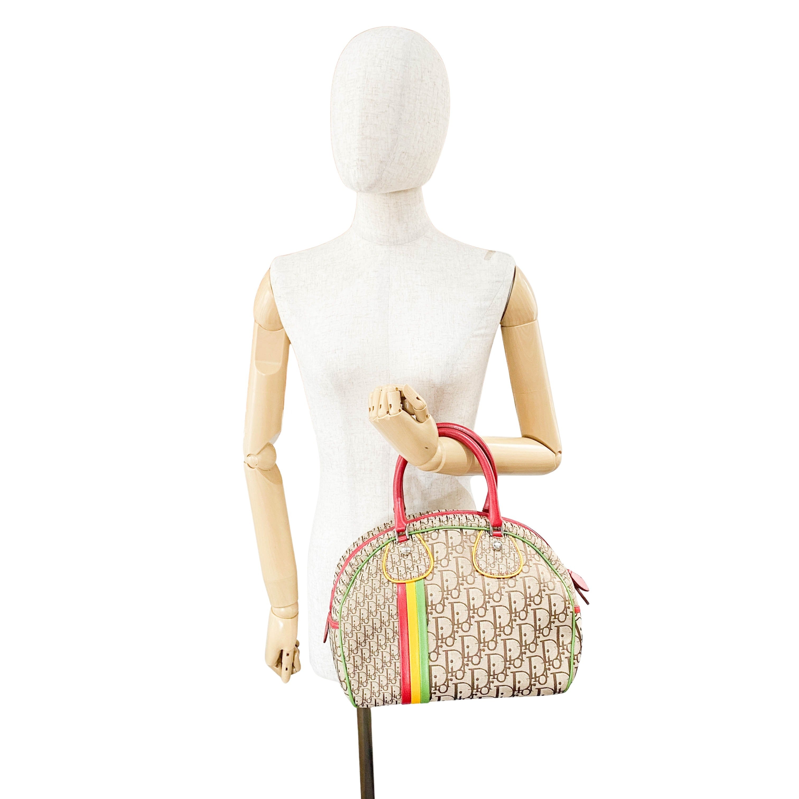 Rasta Trotter Brown Canvas Handbag