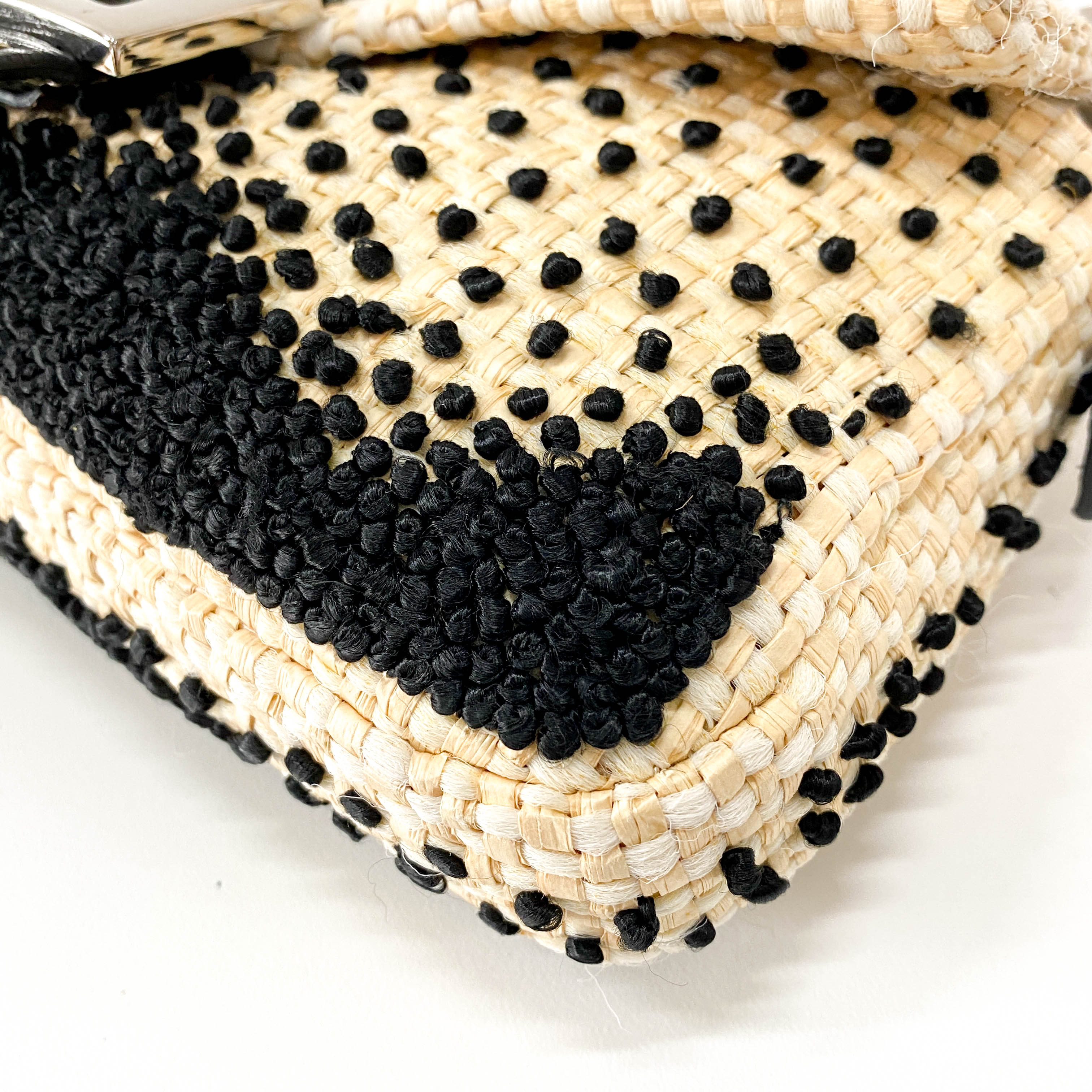 Baguette Paglia Embroidered Shoulder Bag