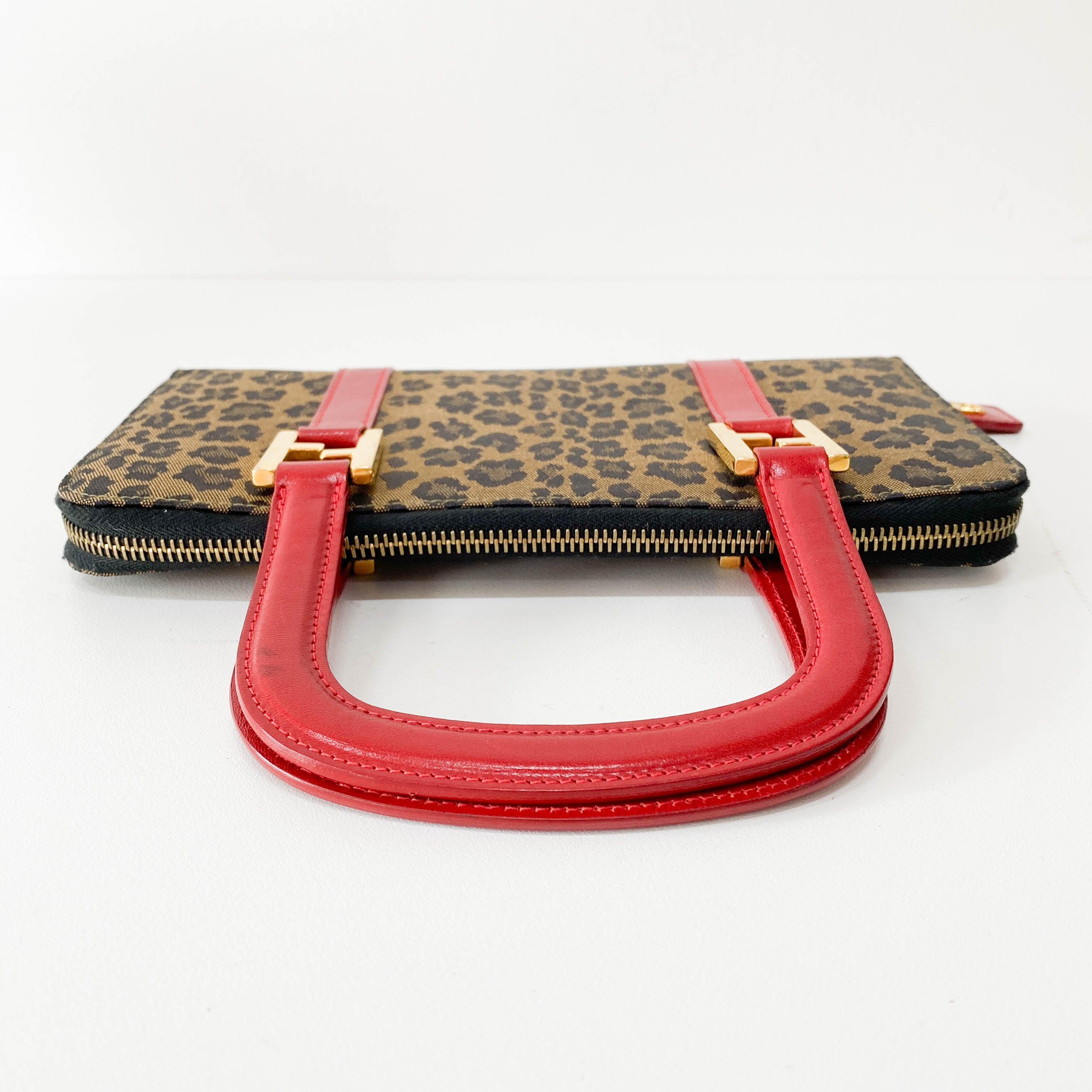 Small Brown Leopard Print Canvas Handbag