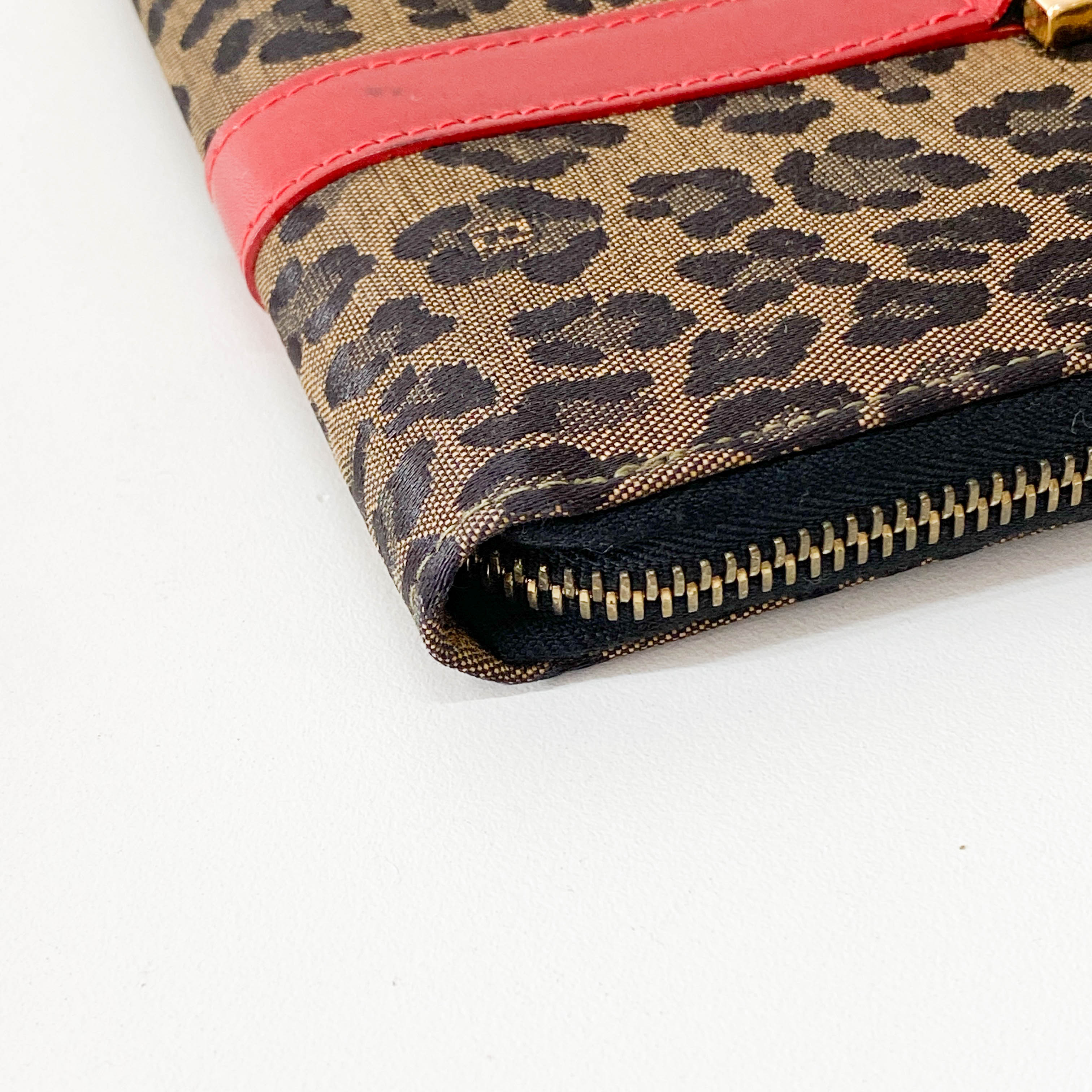 Small Brown Leopard Print Canvas Handbag