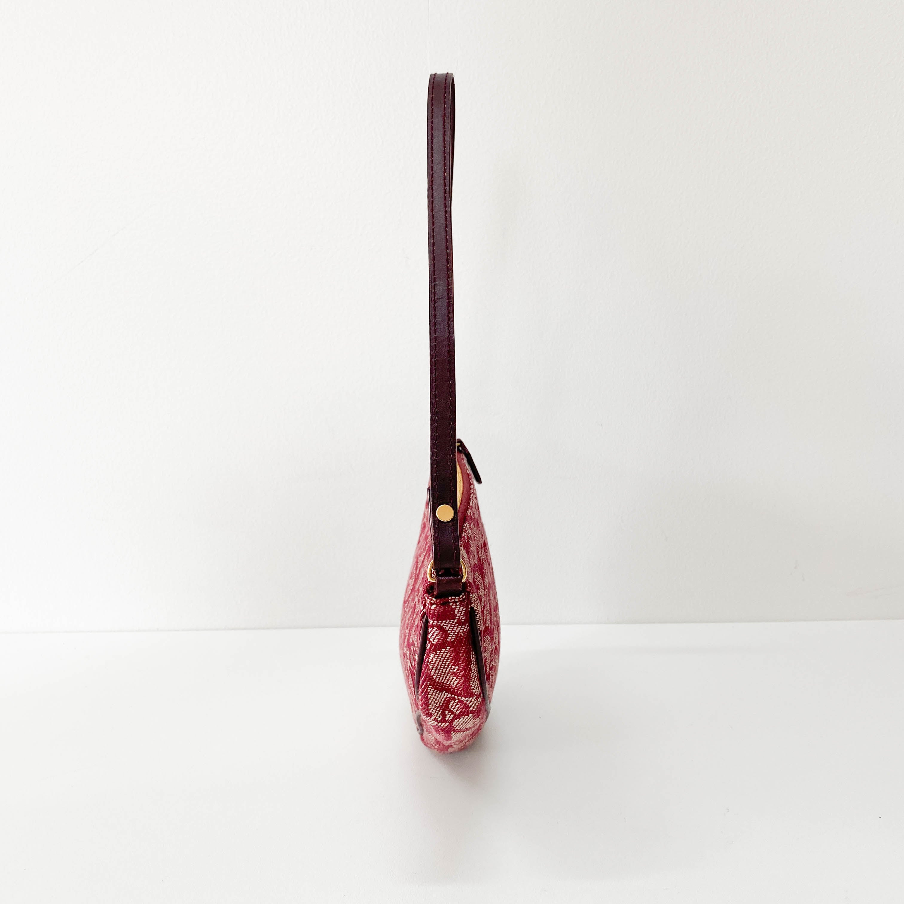 Saddle Oblique Red Canvas Shoulder Bag