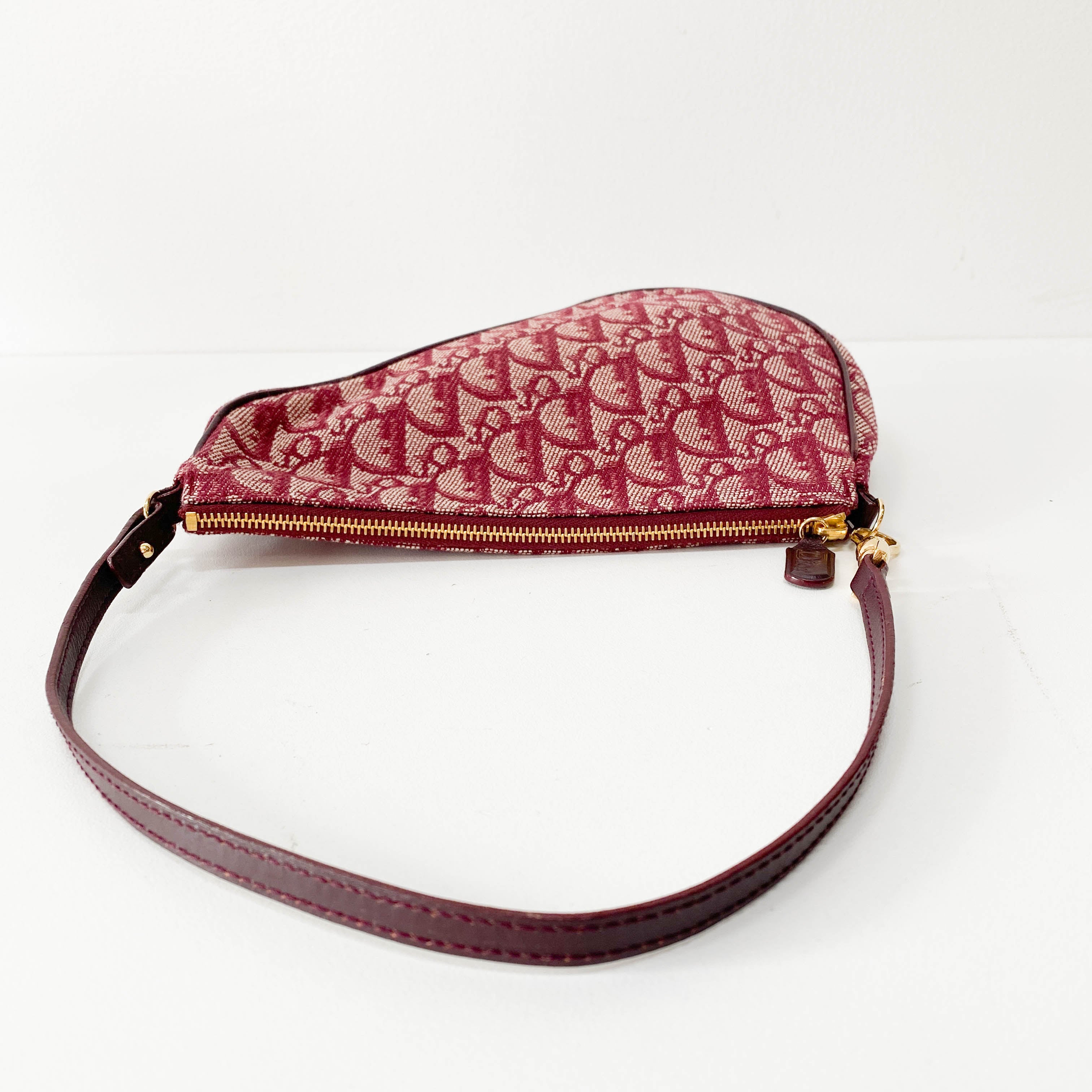 Saddle Oblique Red Canvas Shoulder Bag