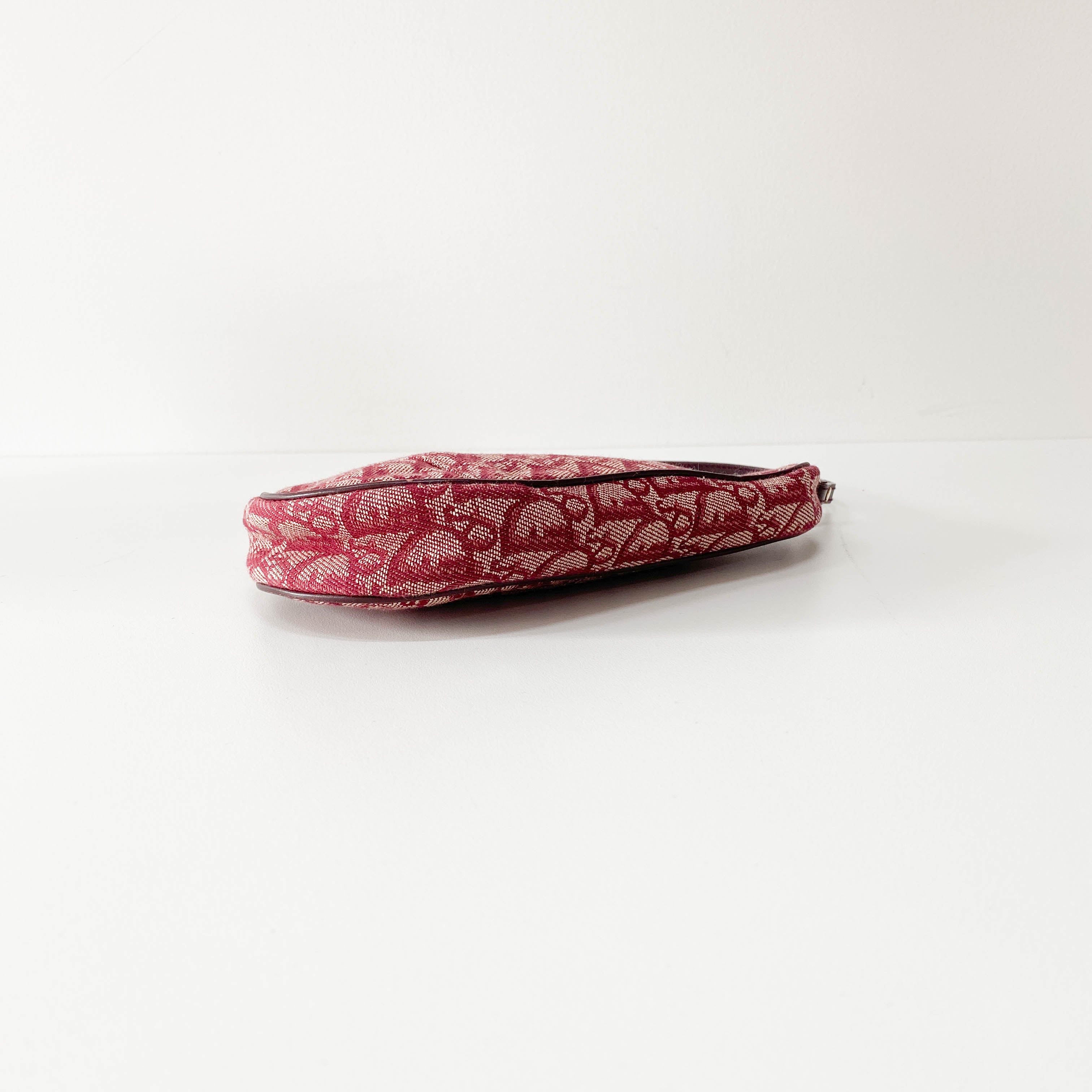 Saddle Oblique Red Canvas Shoulder Bag