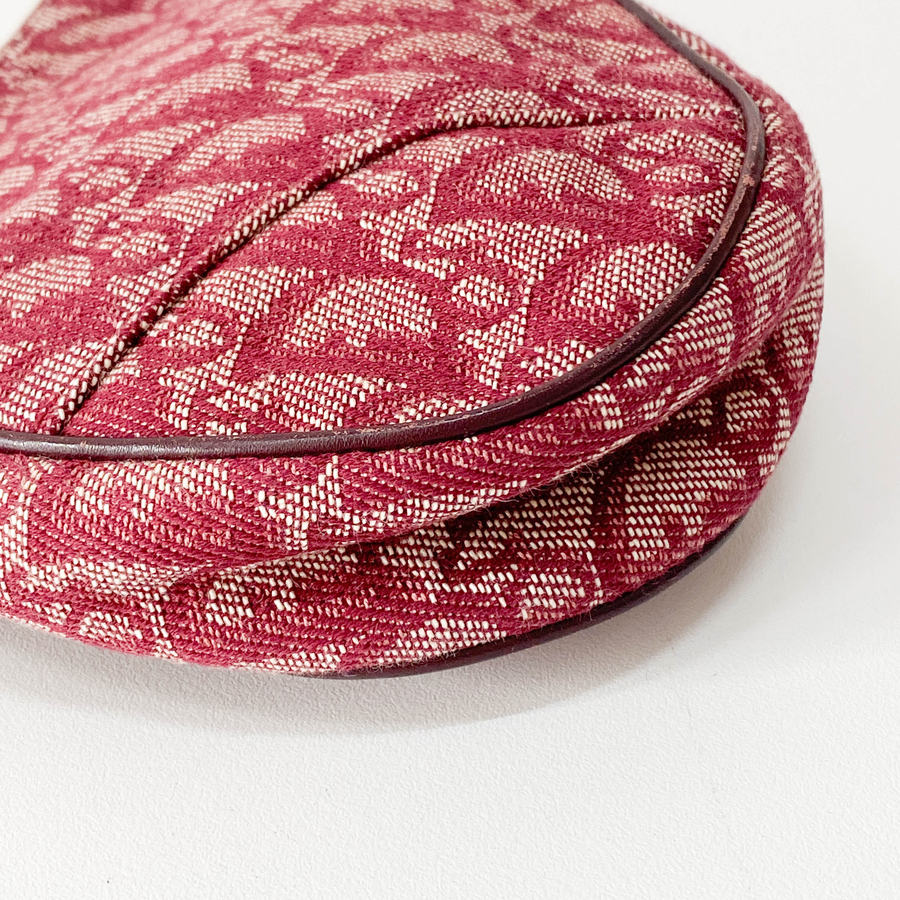 Saddle Oblique Red Canvas Shoulder Bag