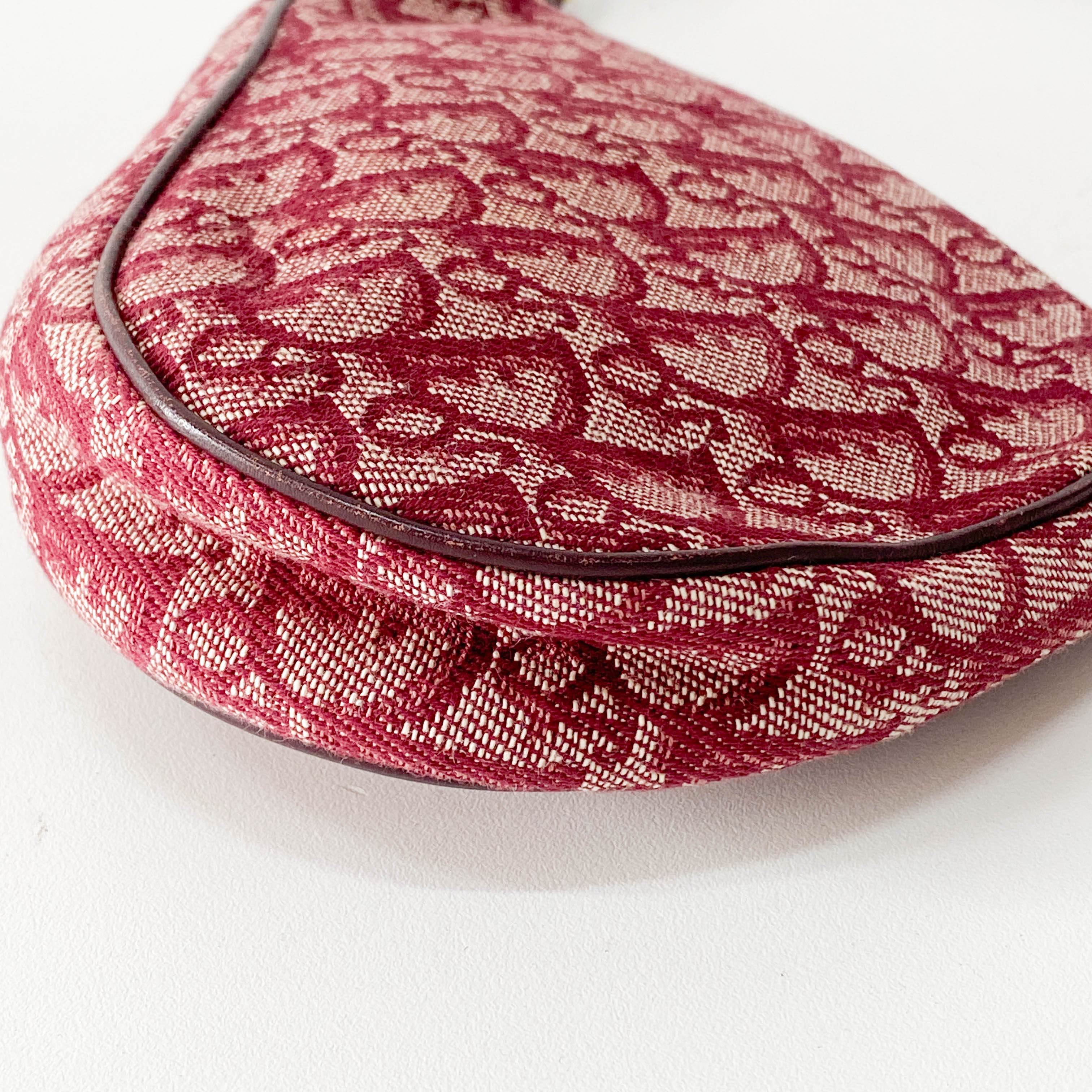 Saddle Oblique Red Canvas Shoulder Bag