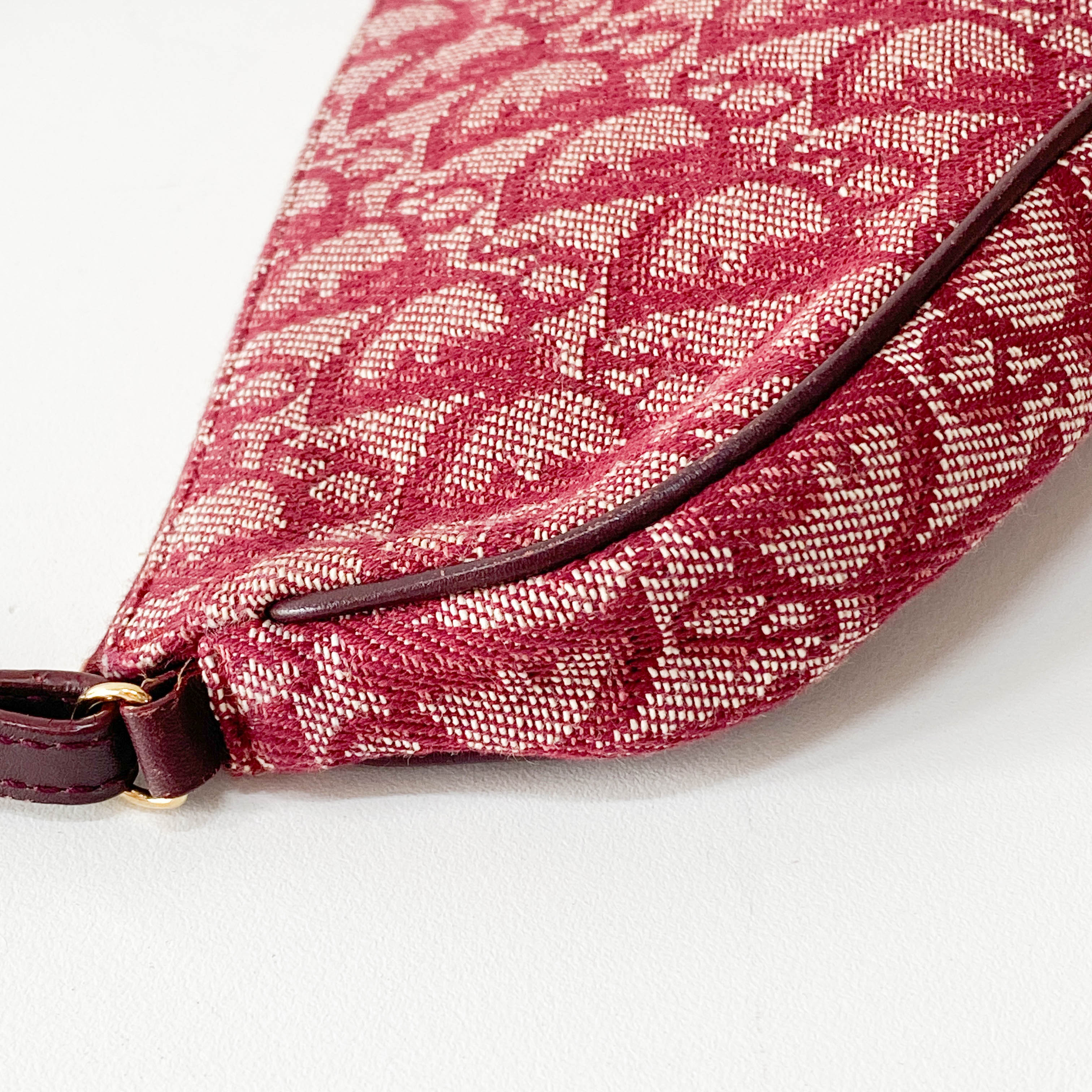 Saddle Oblique Red Canvas Shoulder Bag