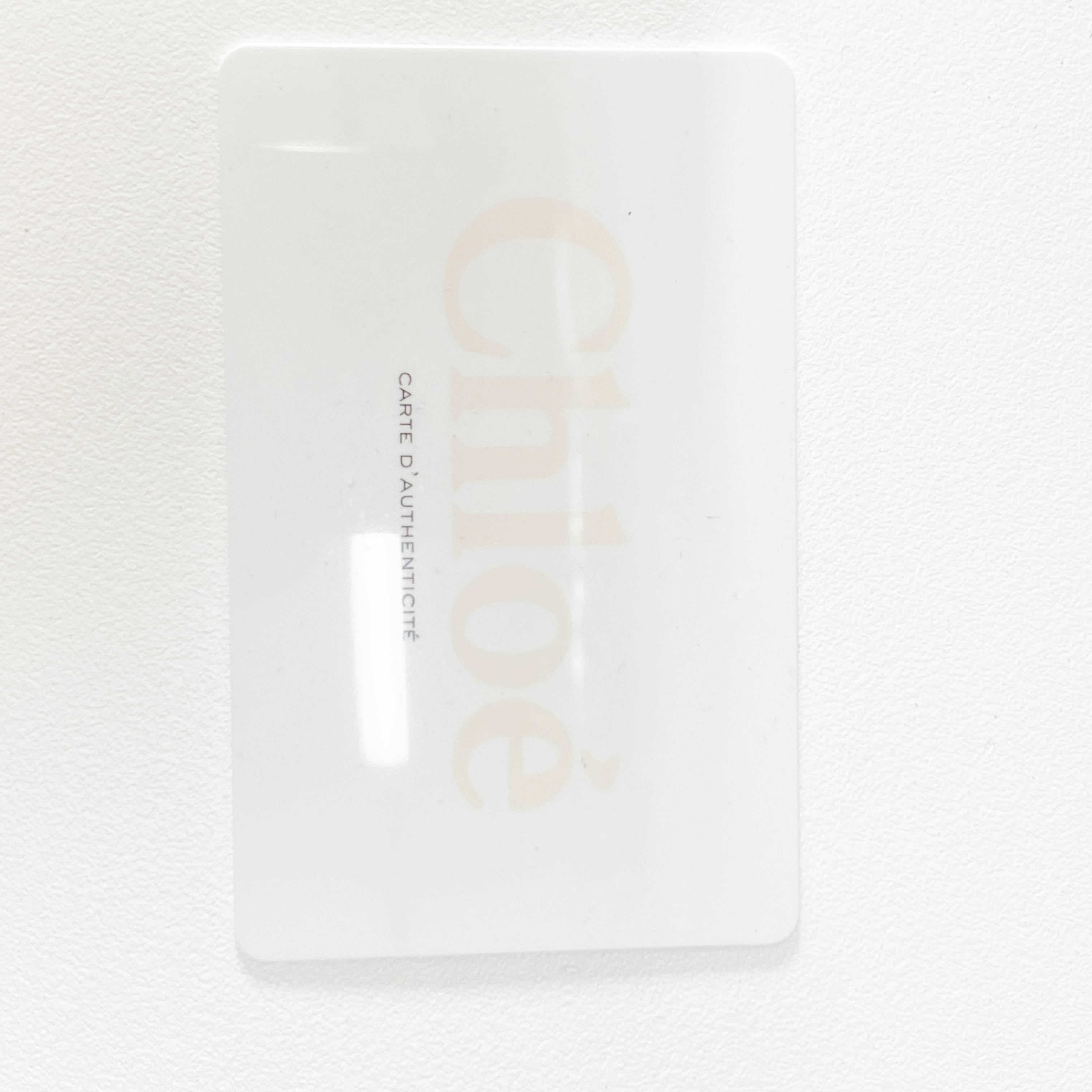 Paraty Black Embossed Lizzard Leather Two Way Bag