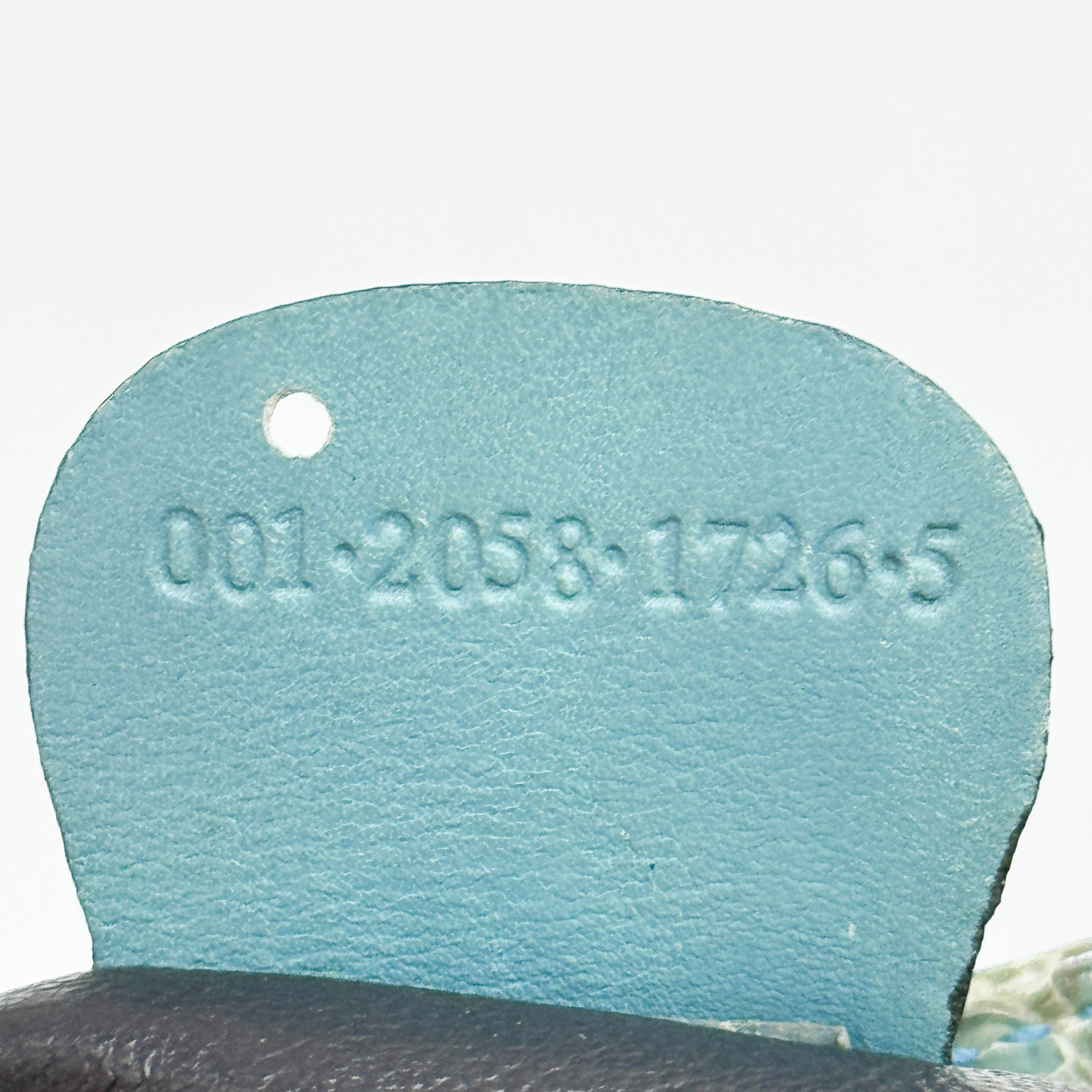 Bamboo Sea Green Python Leather Two Way Bag