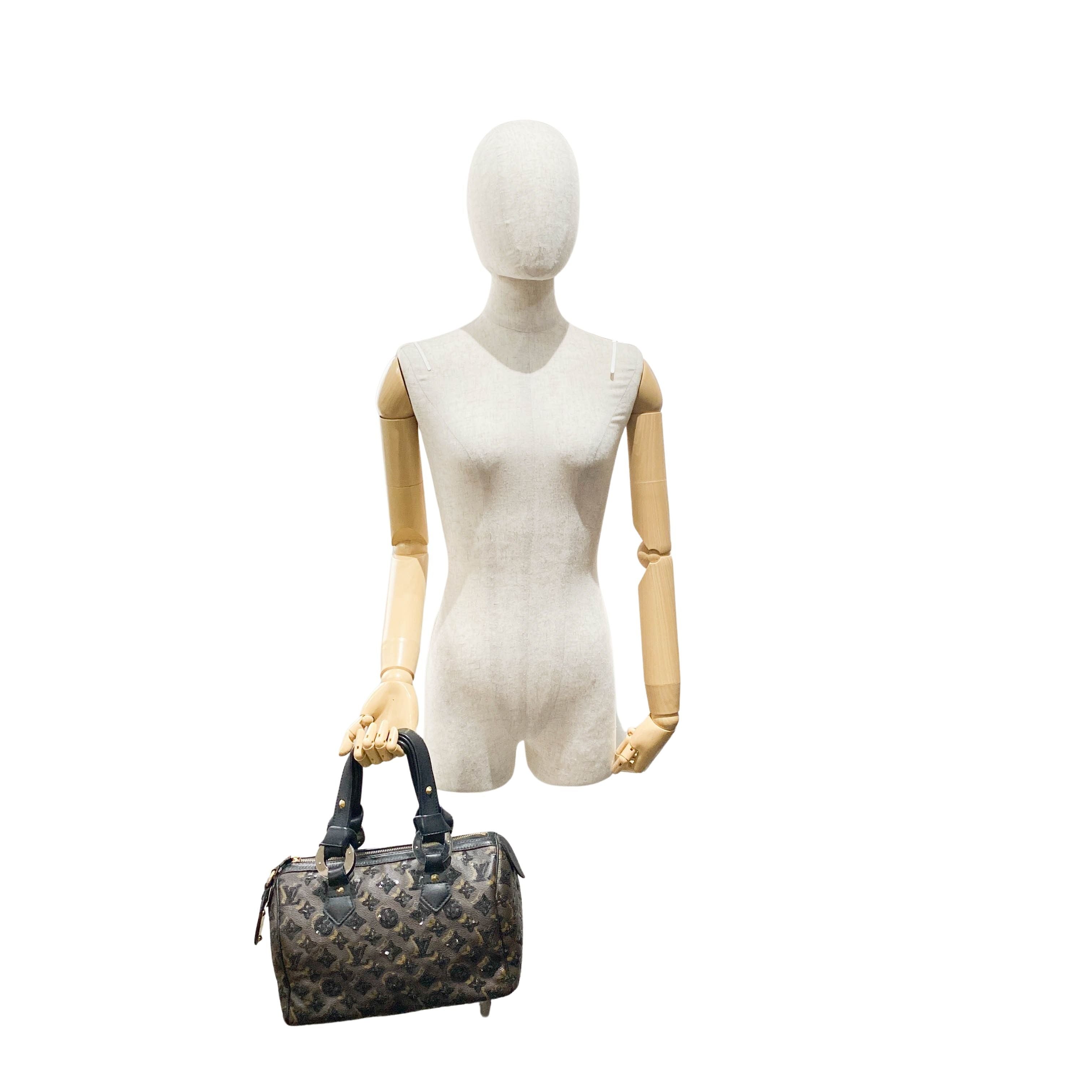 Speedy 30 Monogram Eclipse Beads Canvas Handbag