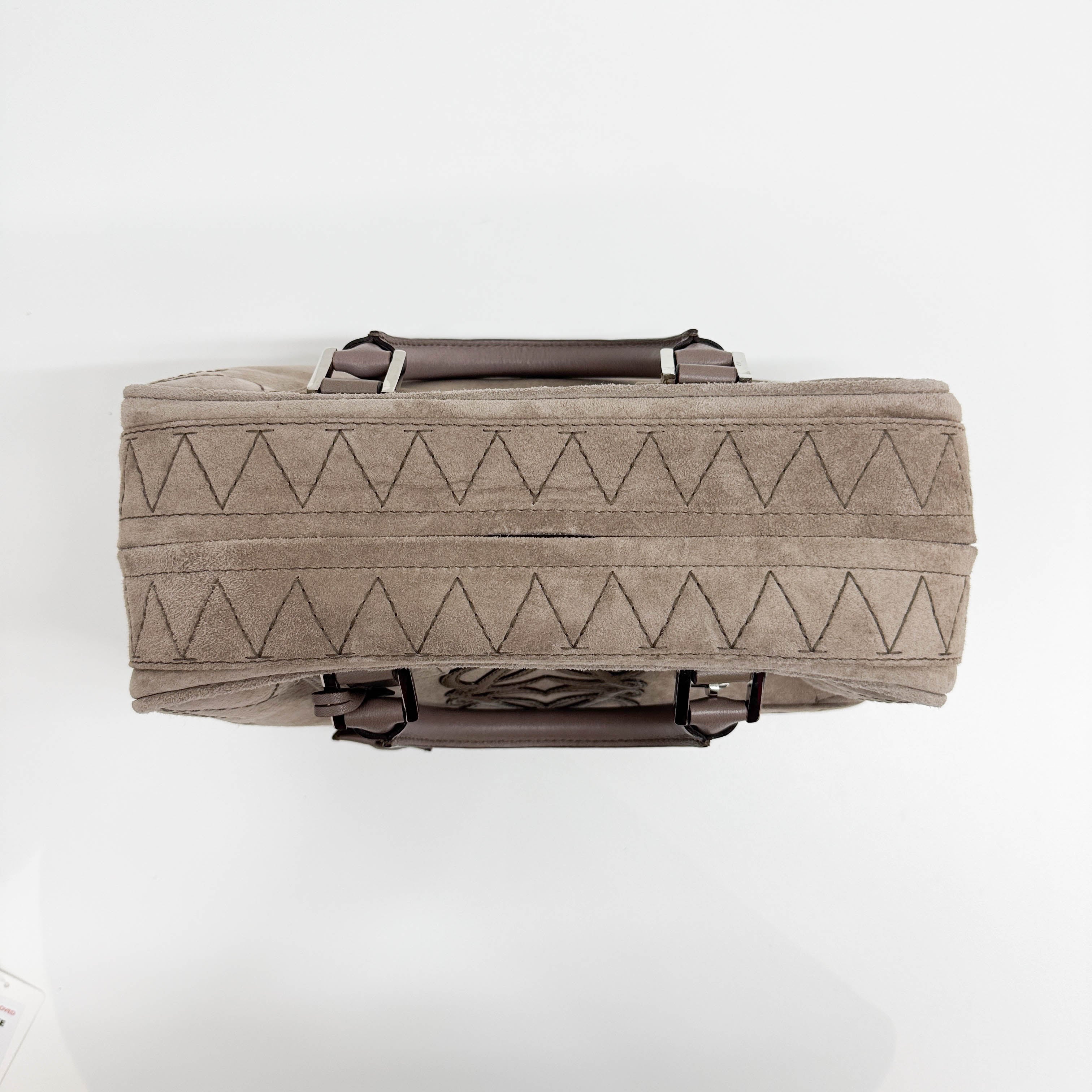 Amazona Tan Suede Hand Bag