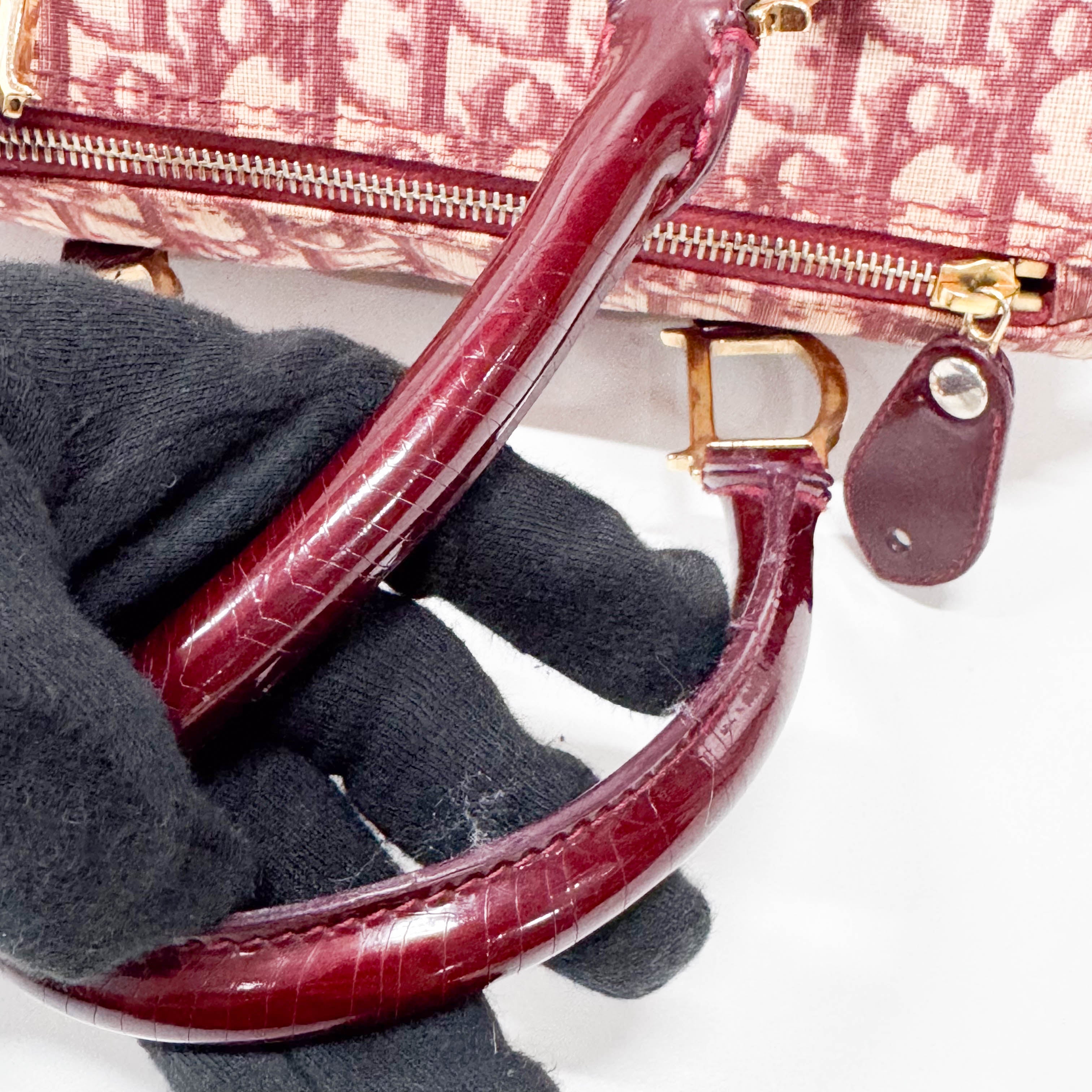 Trotter Red Canvas Handbag