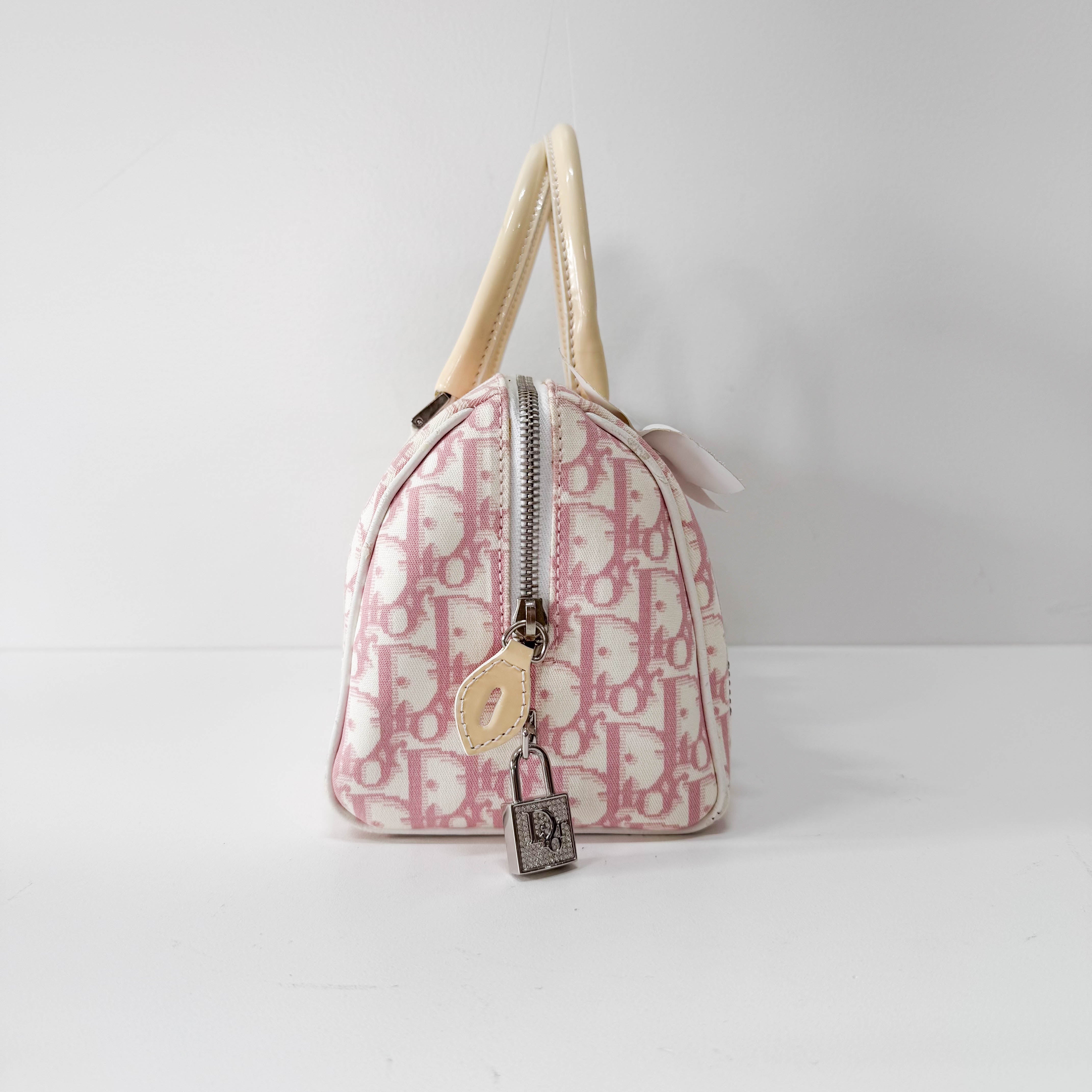 Boston Trotter Small Pink Canvas Handbag