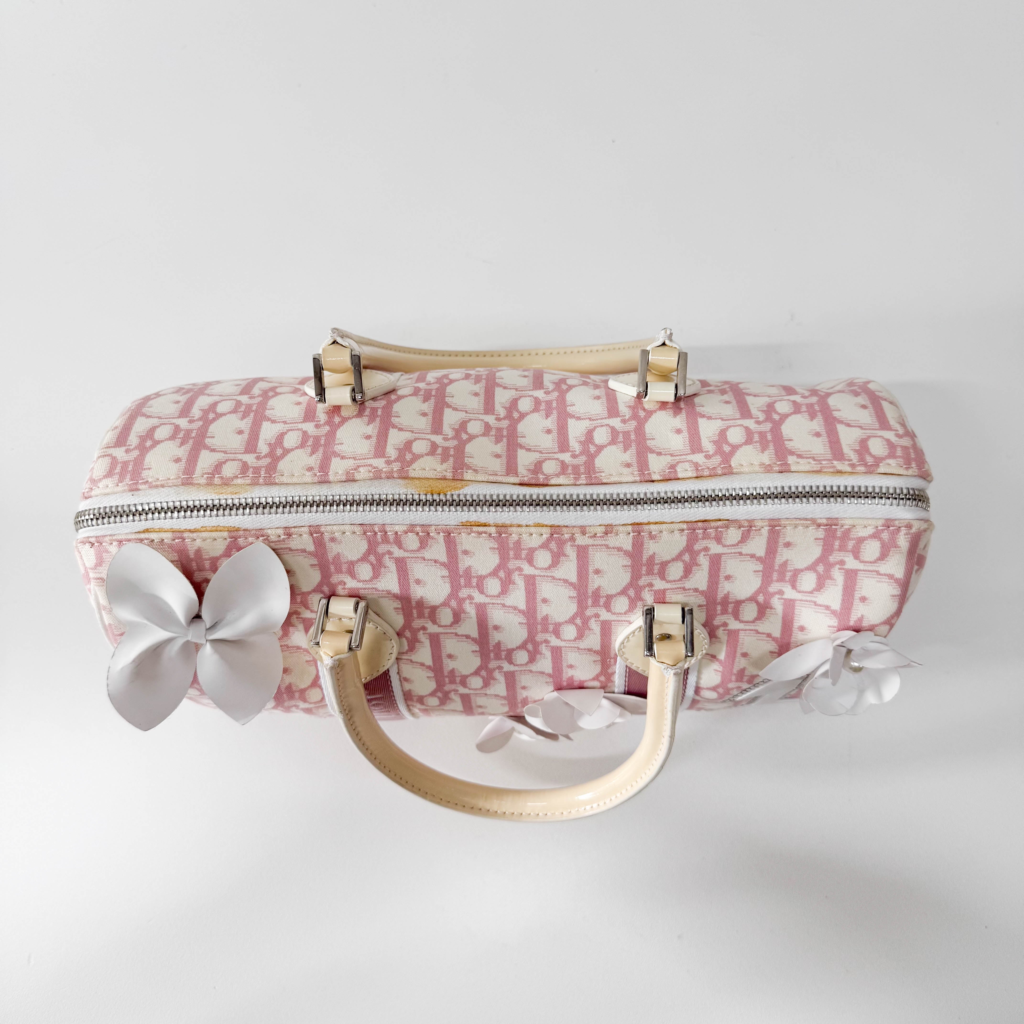 Boston Trotter Small Pink Canvas Handbag