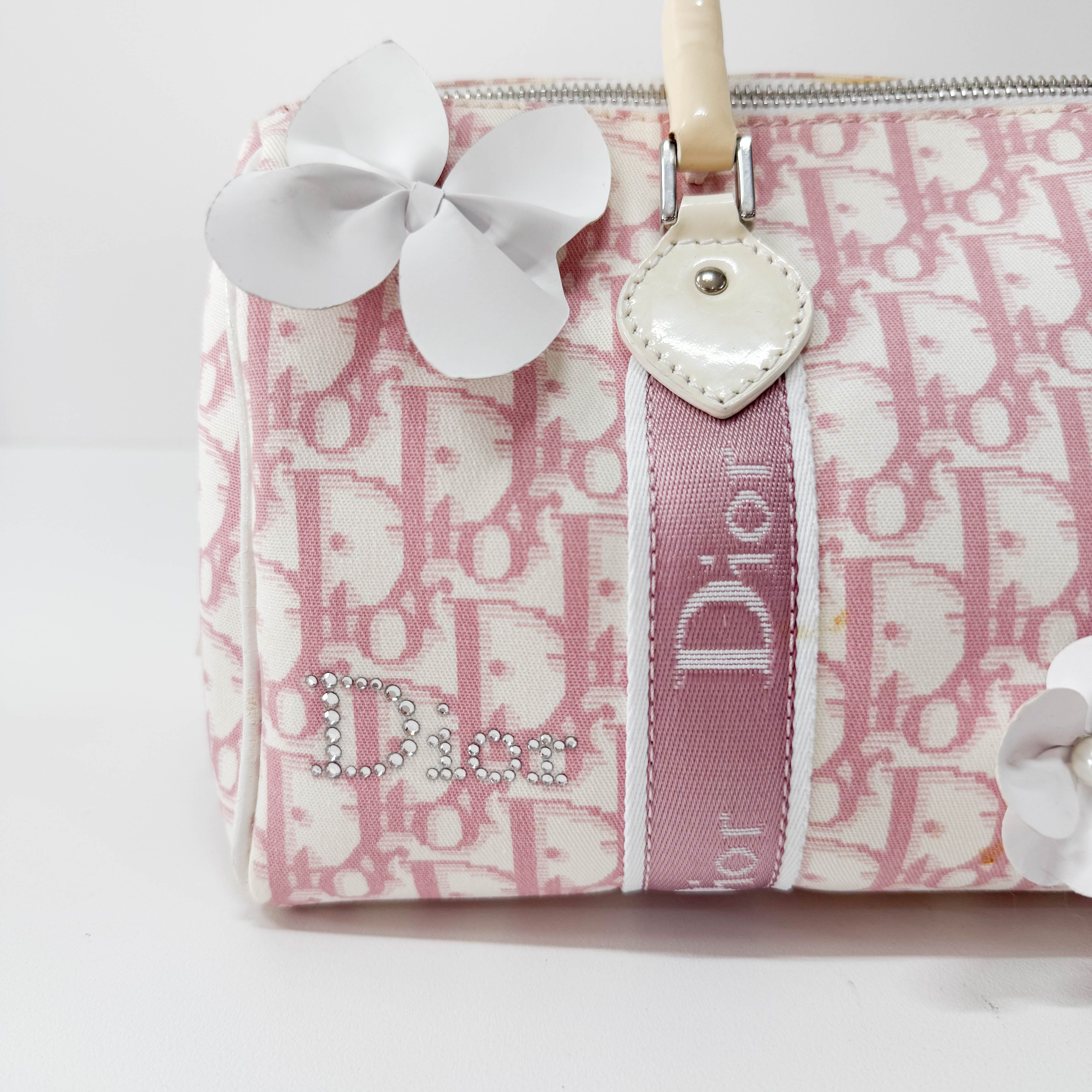 Boston Trotter Small Pink Canvas Handbag