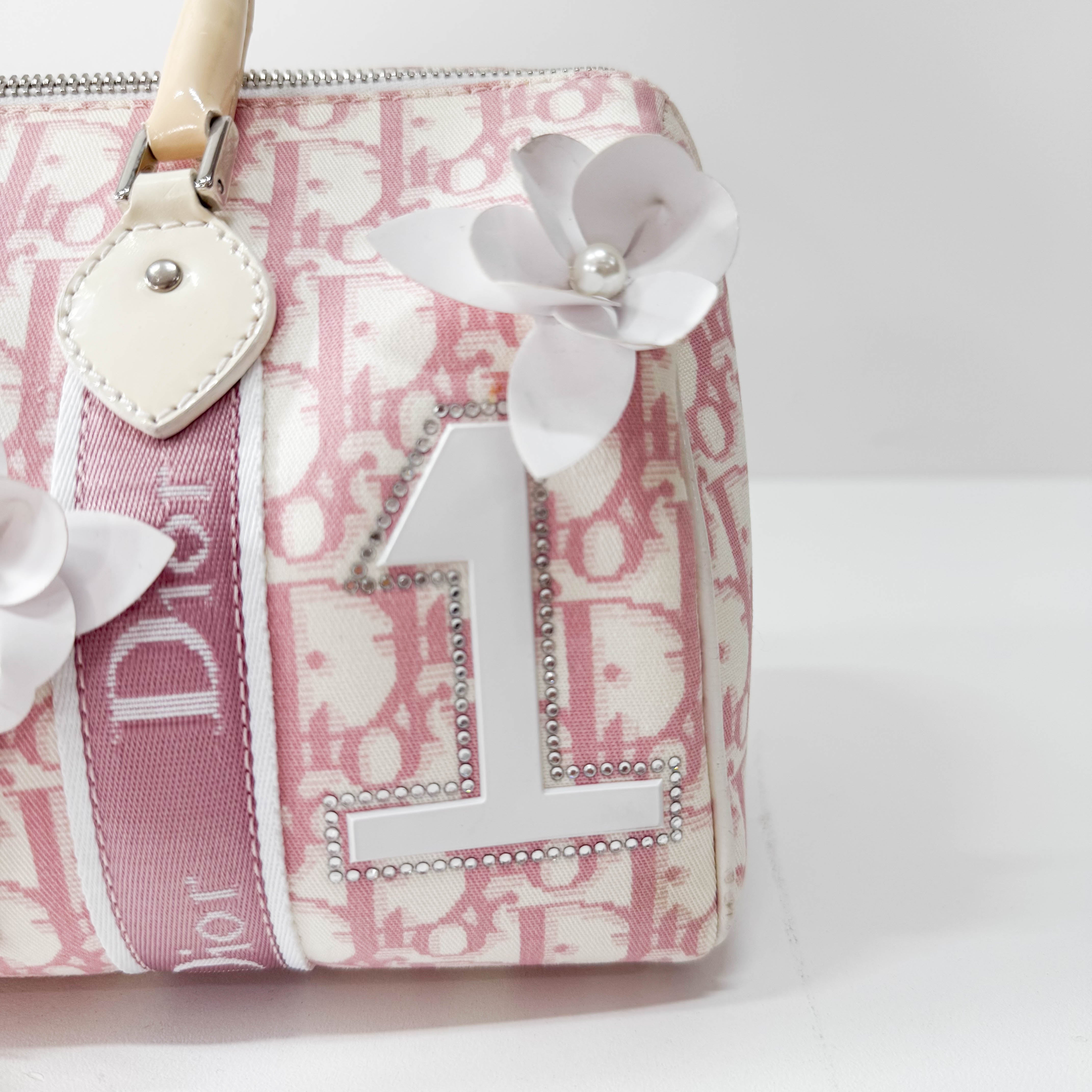 Boston Trotter Small Pink Canvas Handbag